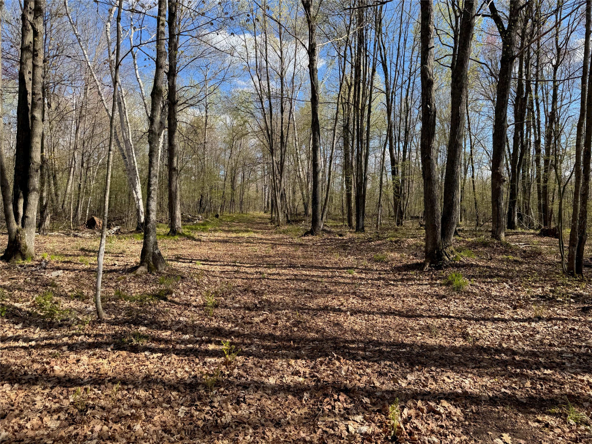 Lot 7 Trapper Trail Property Photo 29
