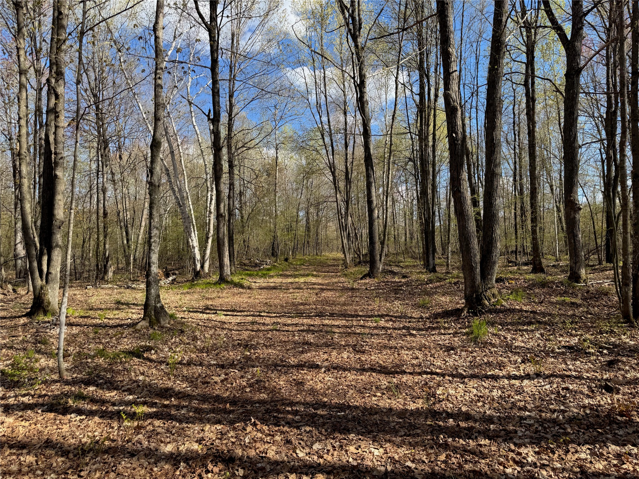 Lot 7 Trapper Trail Property Photo 30