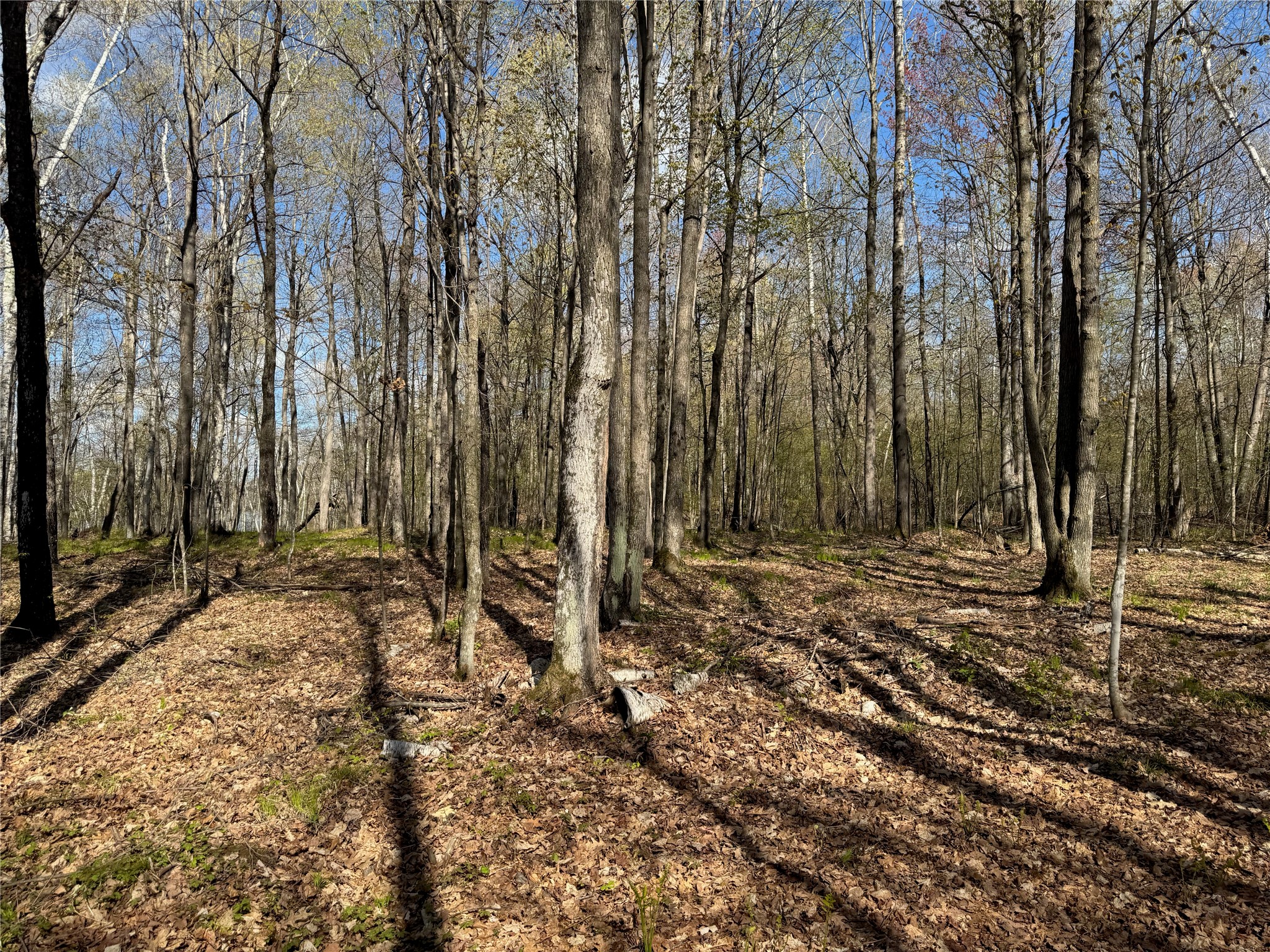 Lot 7 Trapper Trail Property Photo 31