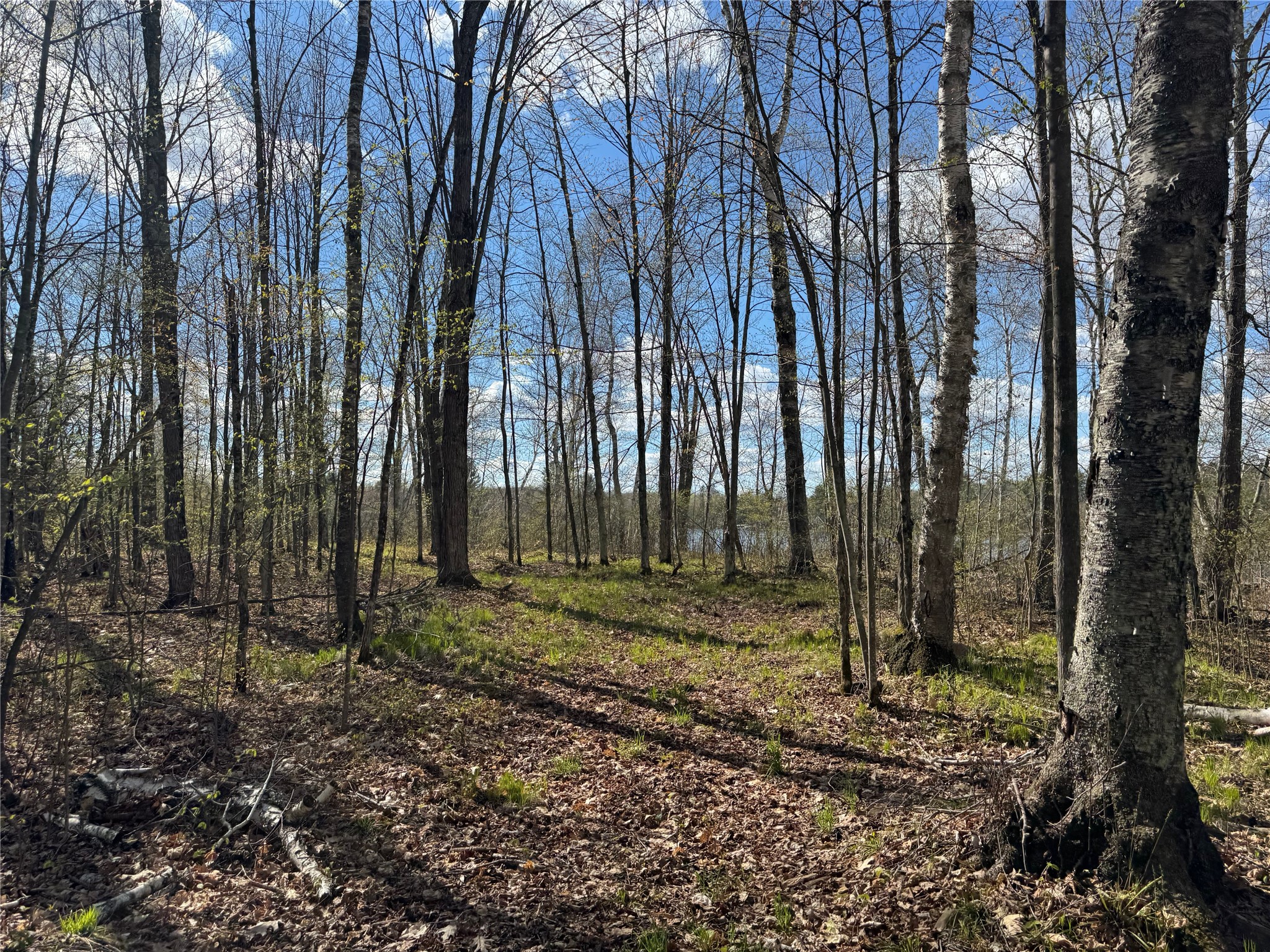 Lot 7 Trapper Trail Property Photo 32