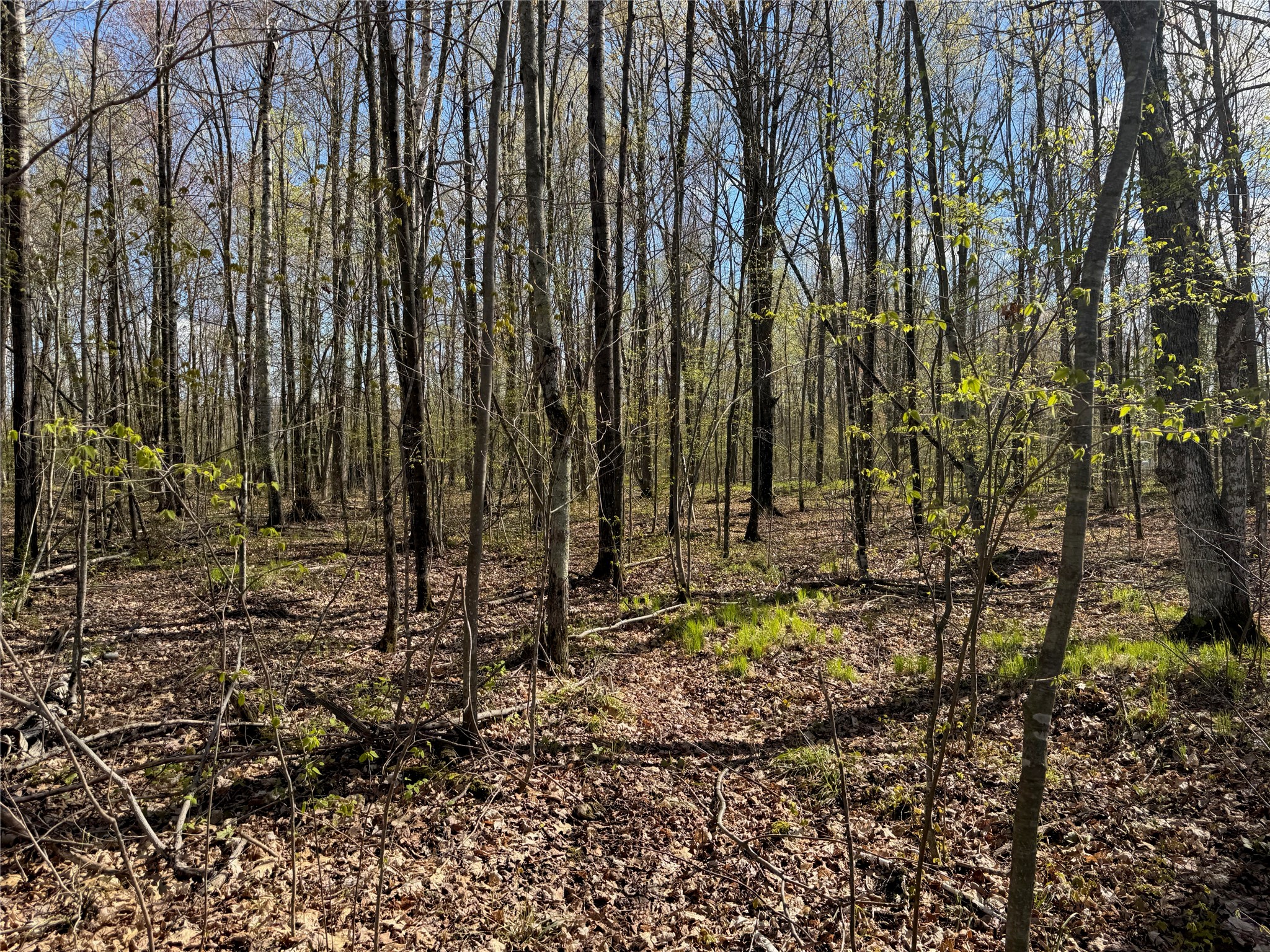 Lot 7 Trapper Trail Property Photo 33