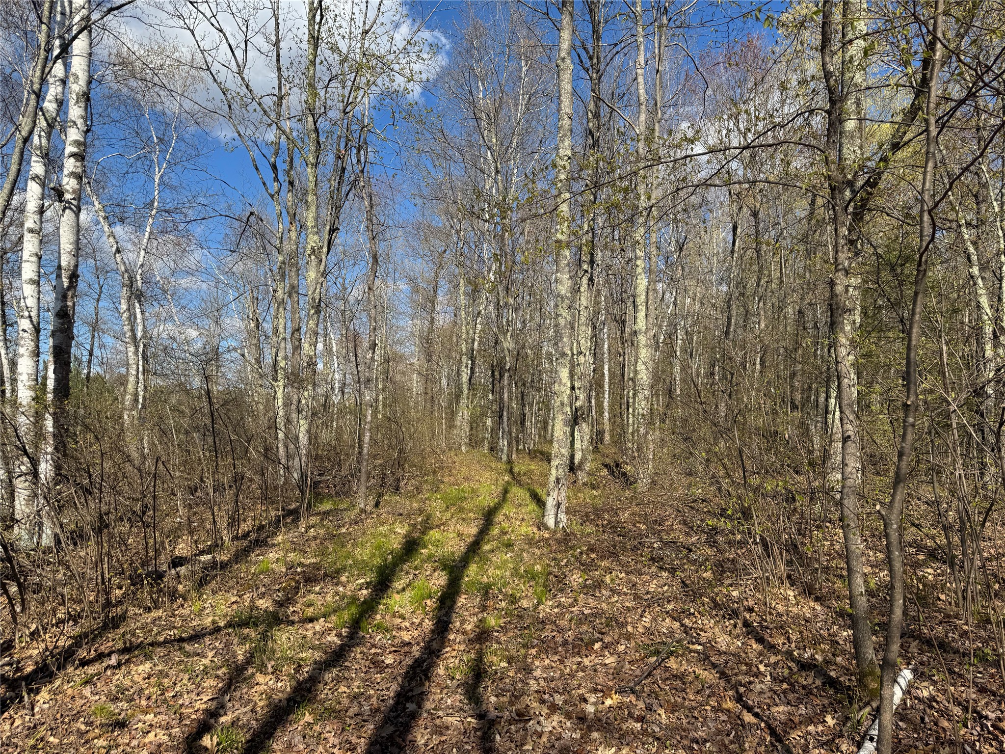 Lot 7 Trapper Trail Property Photo 34