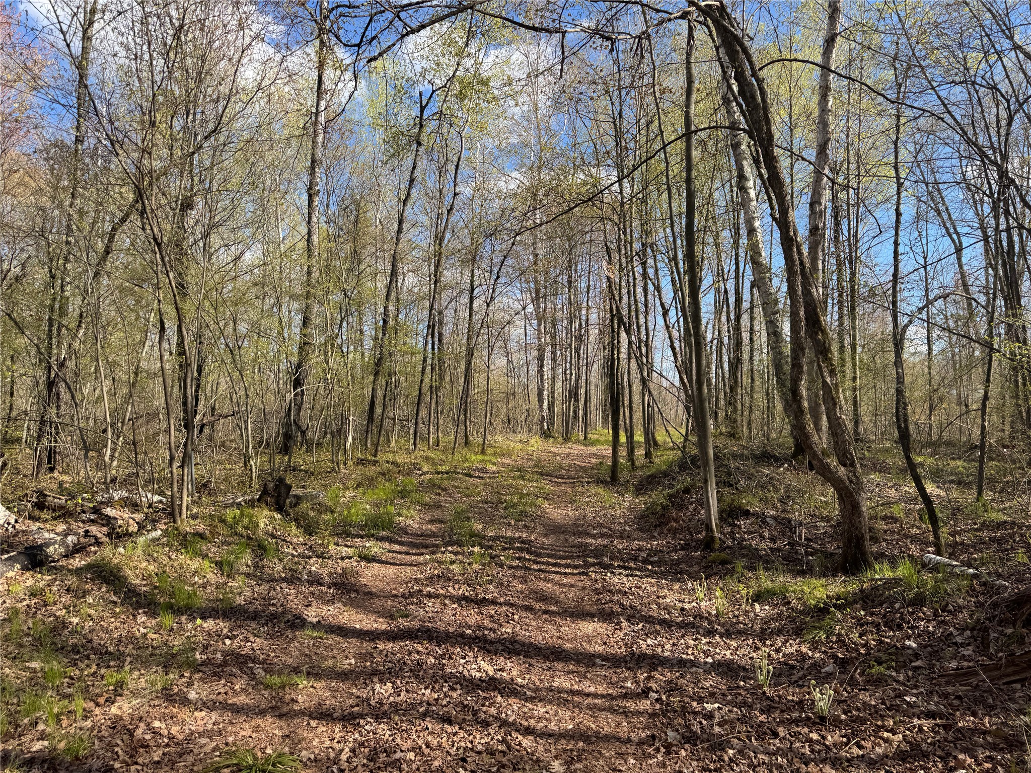 Lot 7 Trapper Trail Property Photo 35