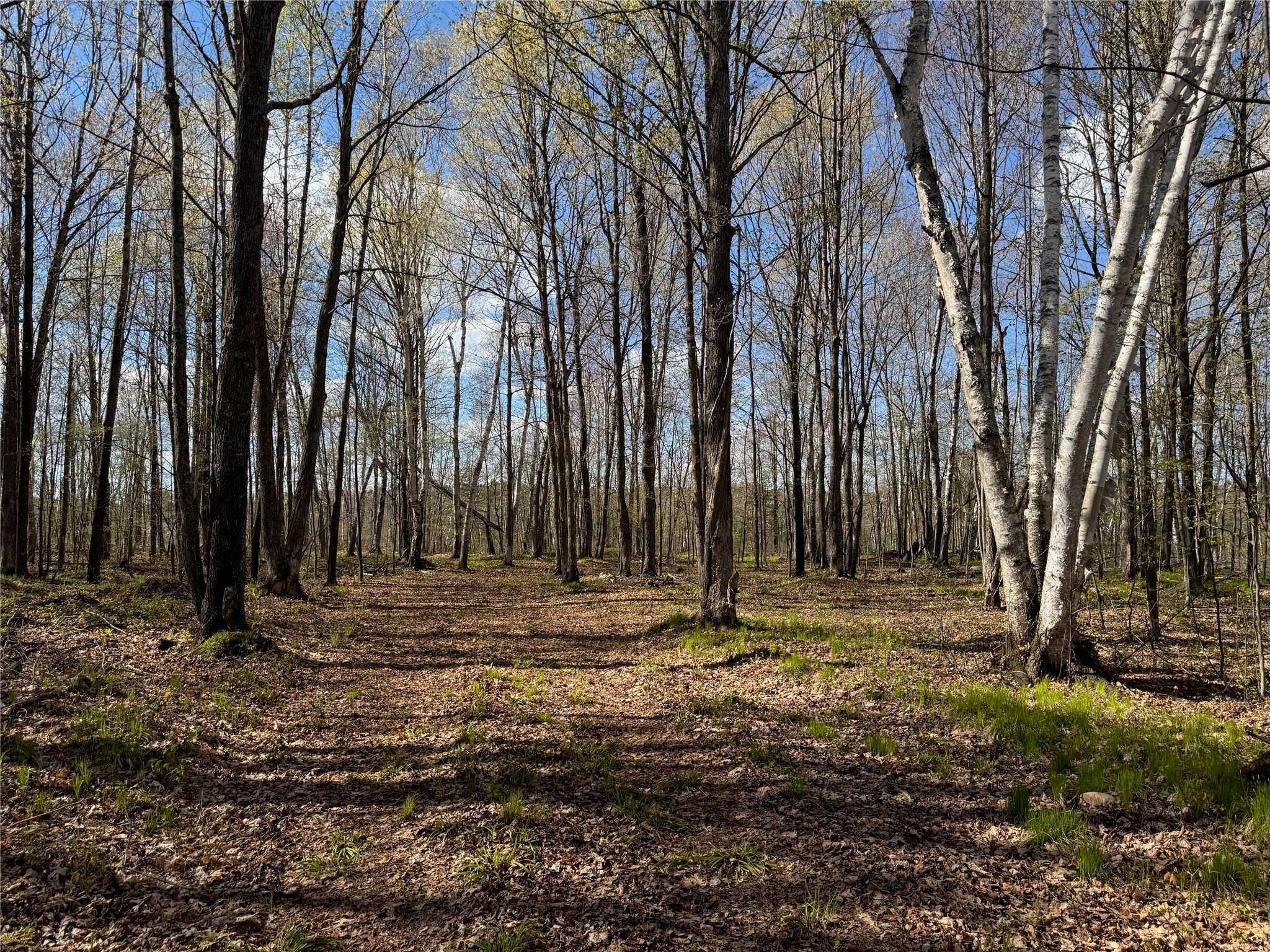 Lot 7 Trapper Trail Property Photo 36