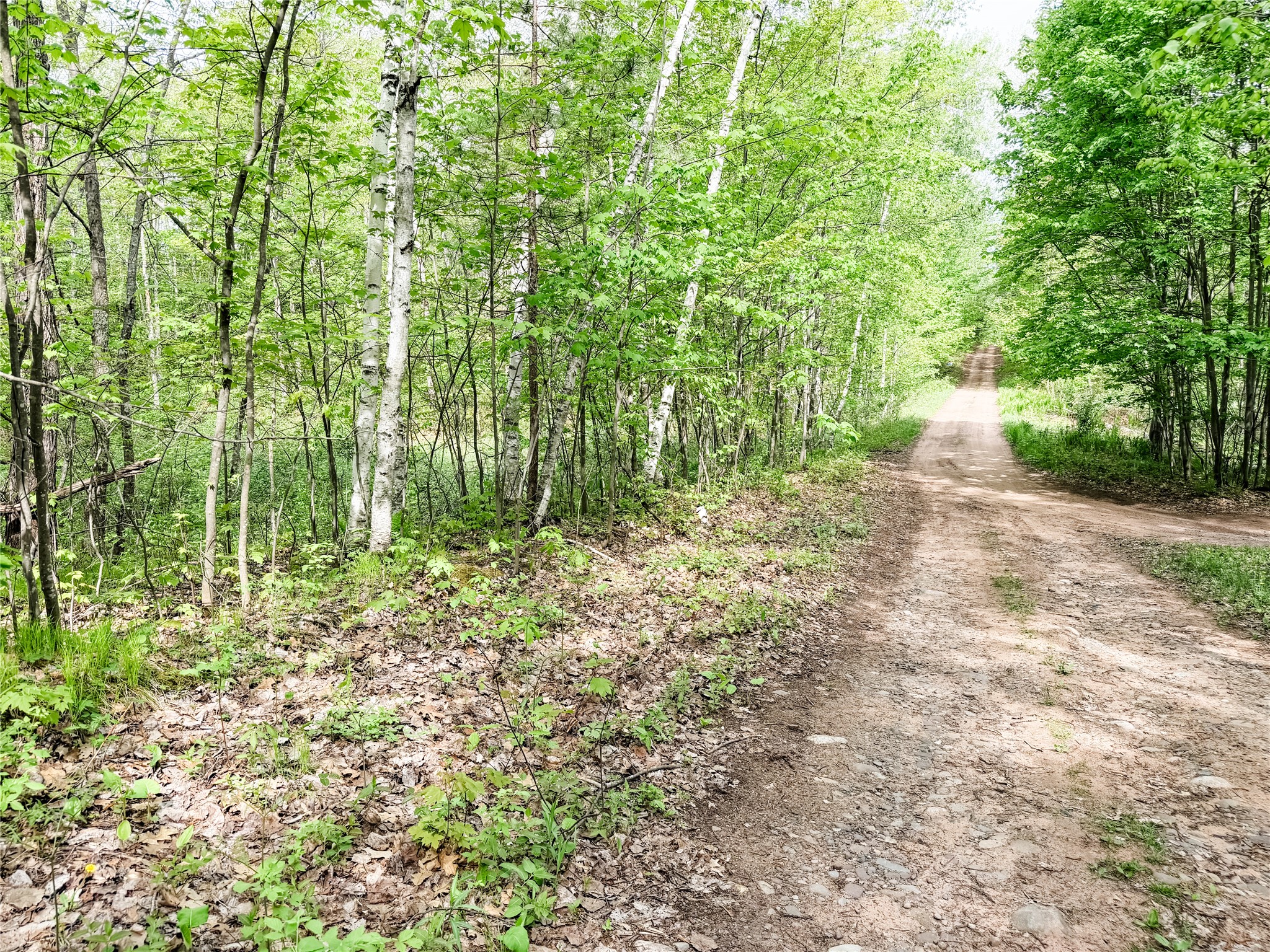 Lot 2 Peterson Road Property Photo 3