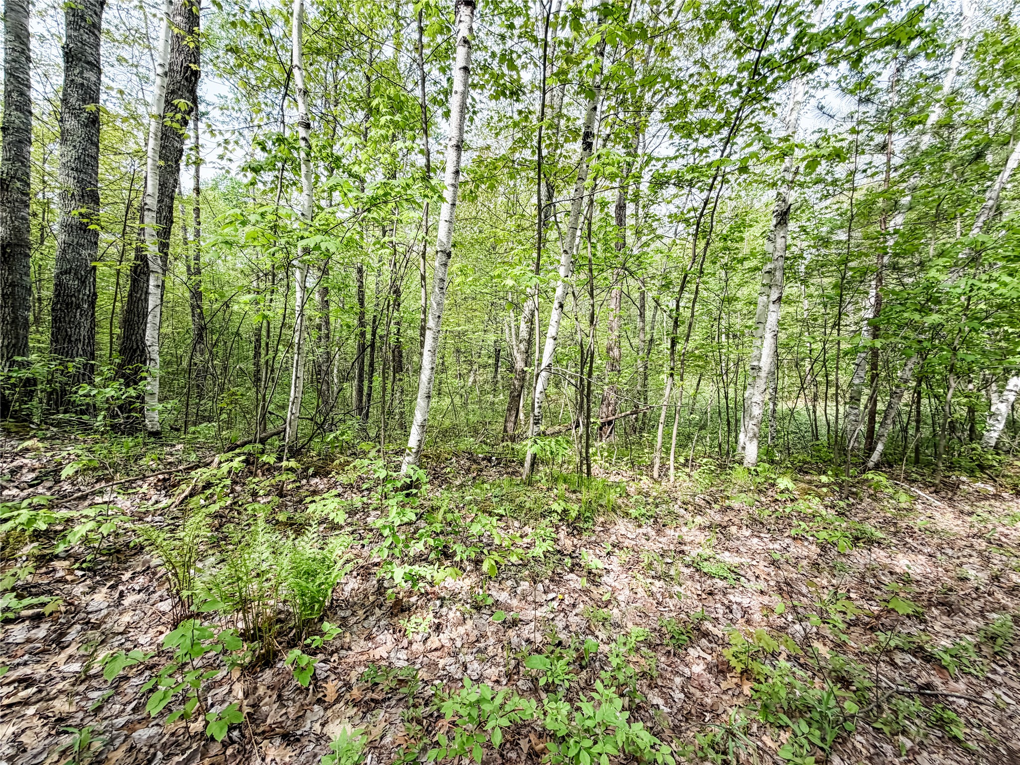 Lot 2 Peterson Road Property Photo 4