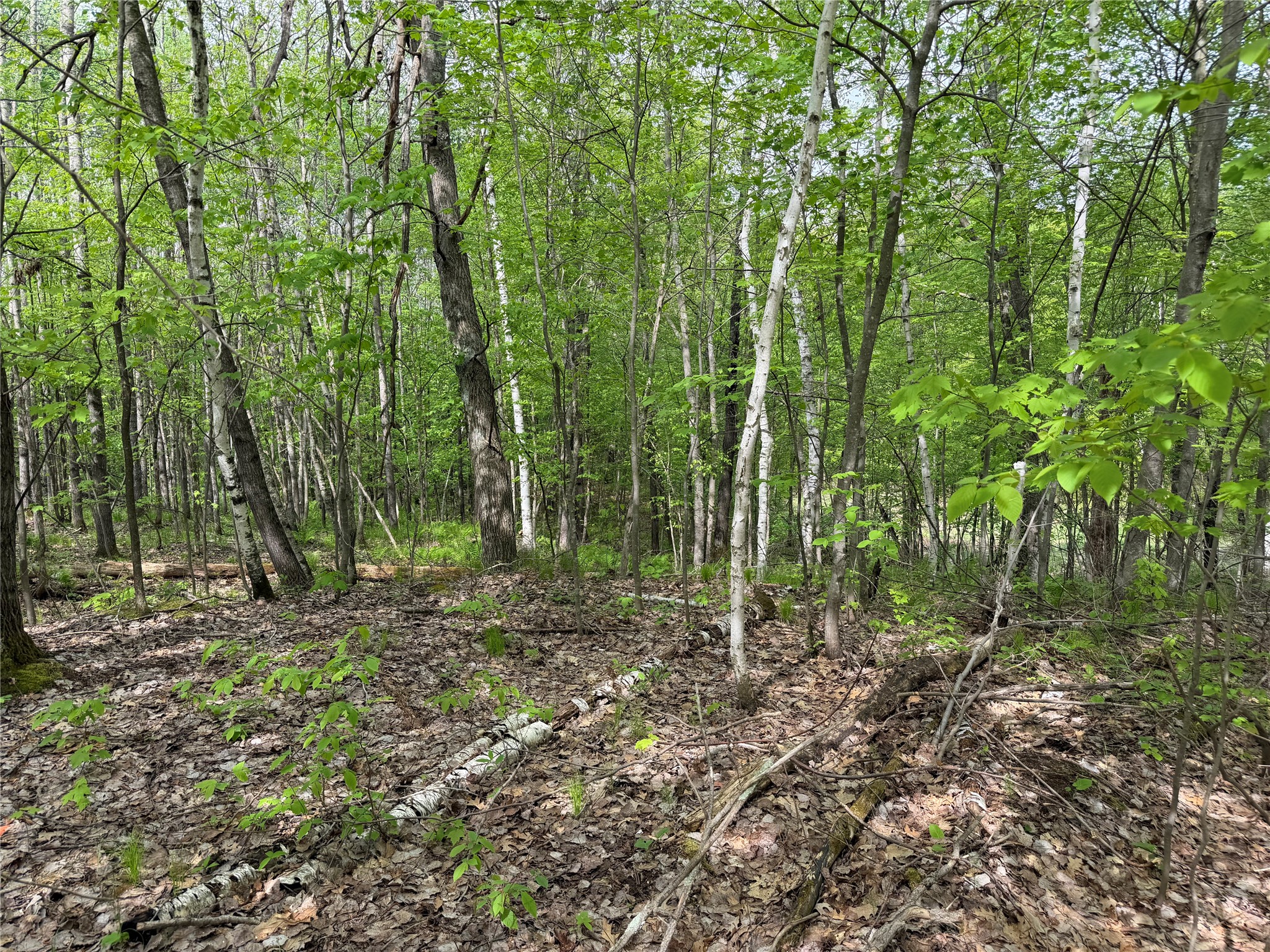Lot 4 Peterson Road Property Photo 2