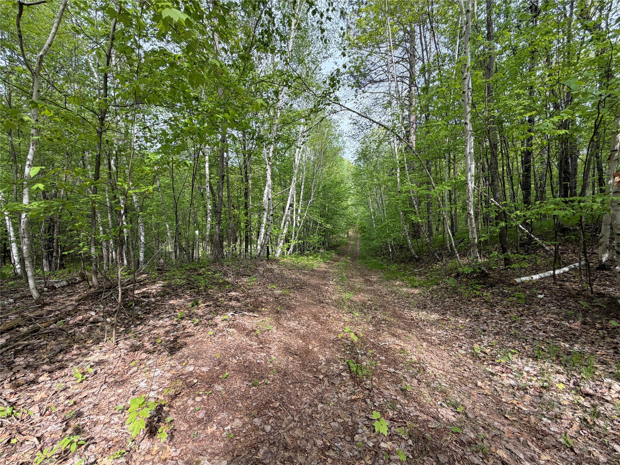Lot 4 Peterson Road Property Photo 3