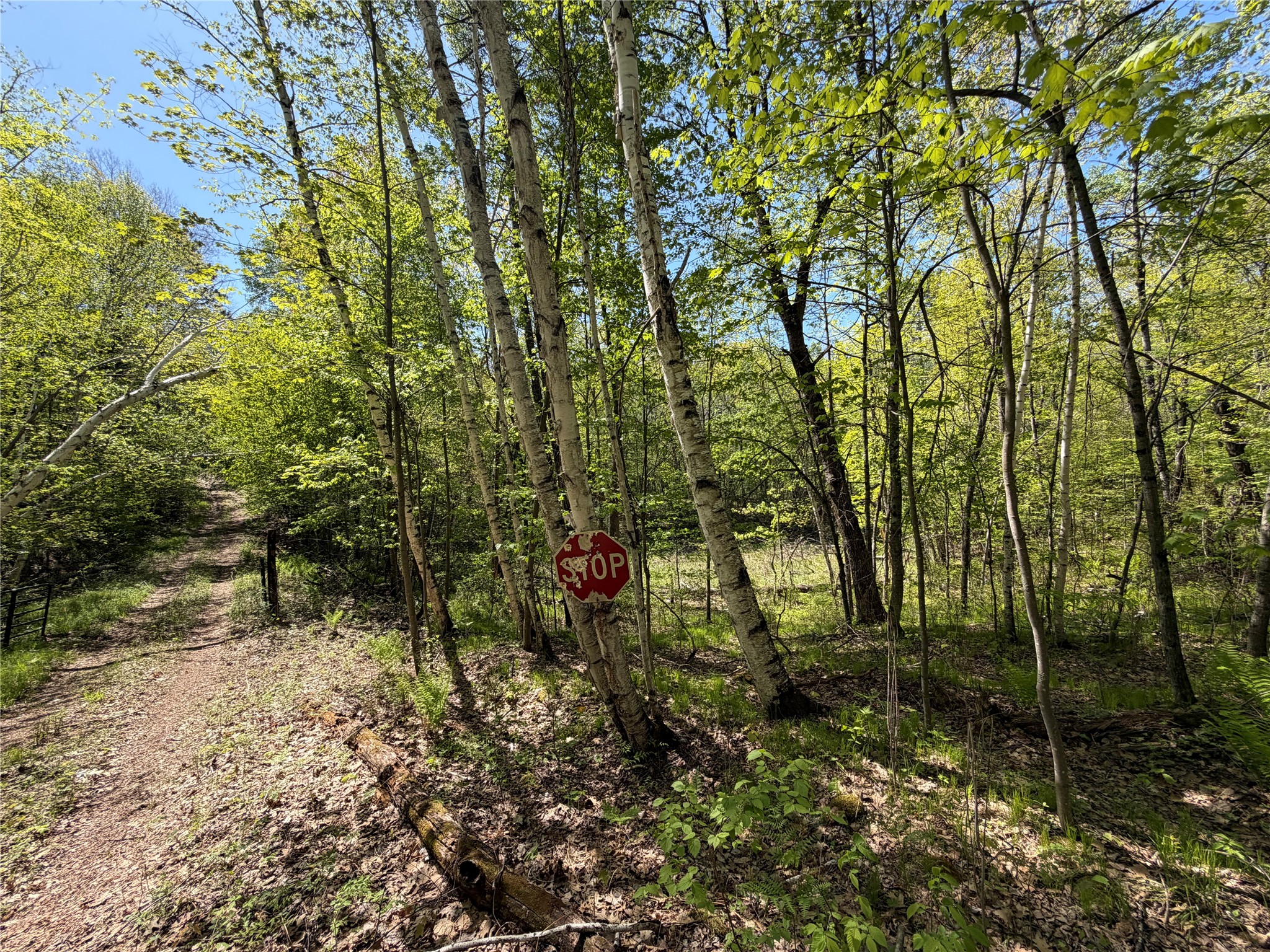 Lot 4 Peterson Road Property Photo 4