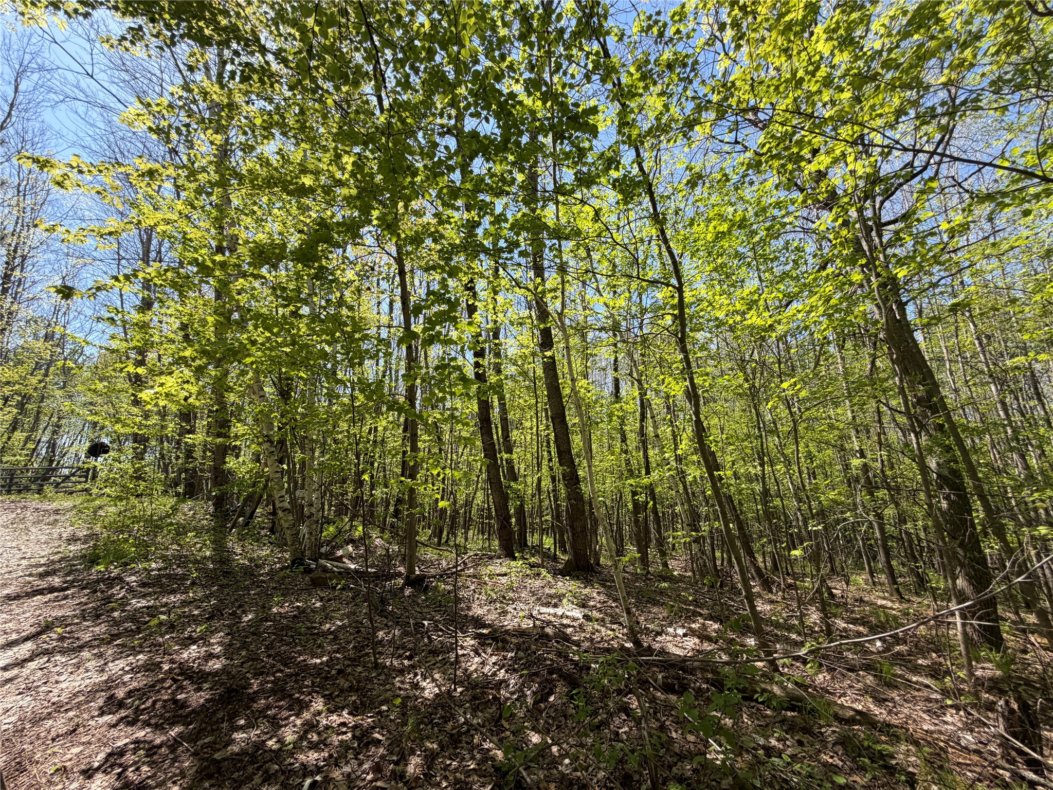 Lot 4 Peterson Road Property Photo 5