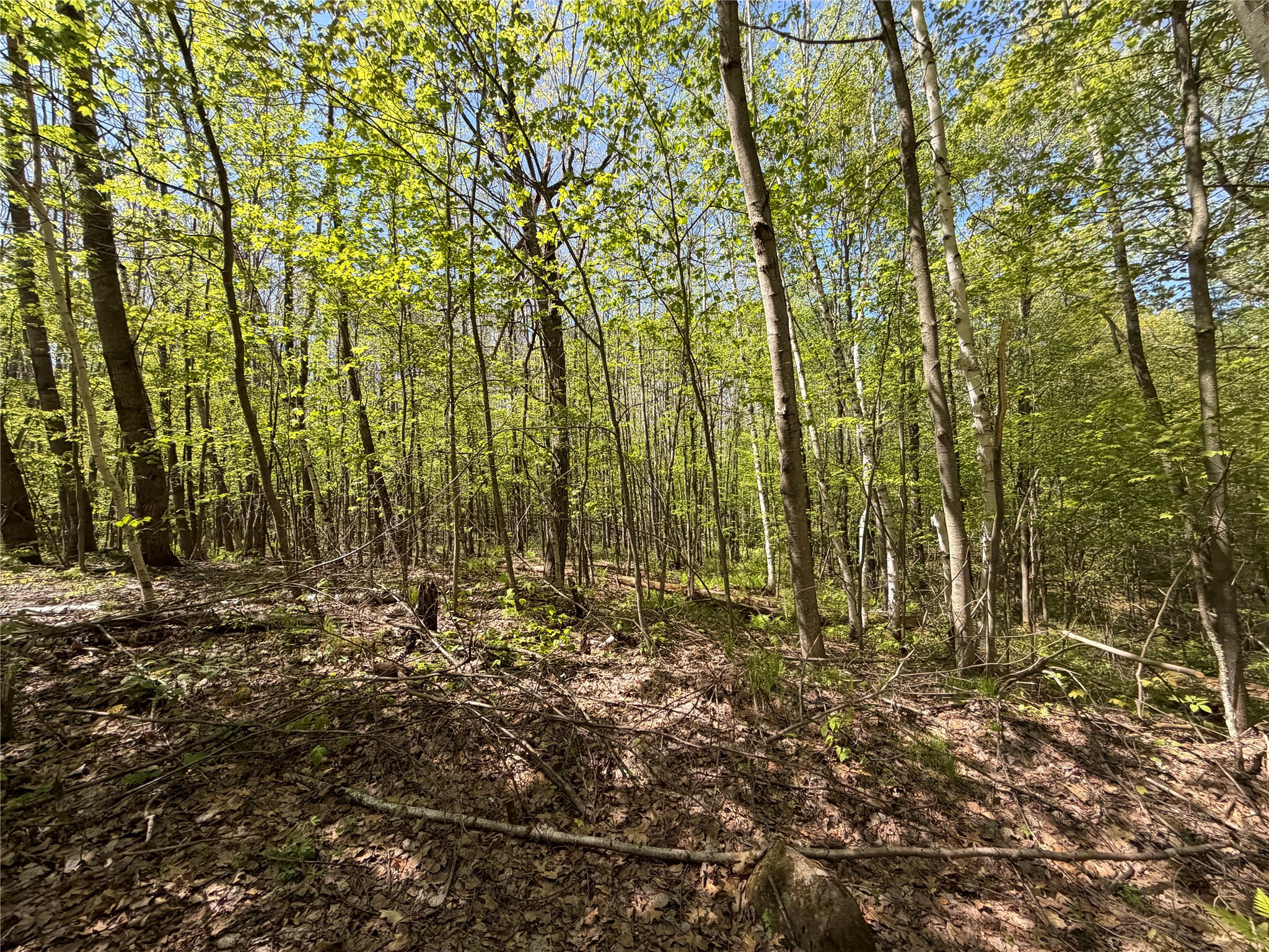 Lot 4 Peterson Road Property Photo 6