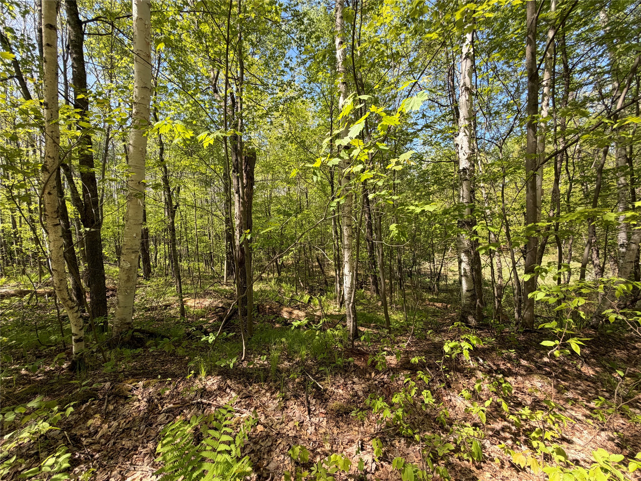 Lot 4 Peterson Road Property Photo 7