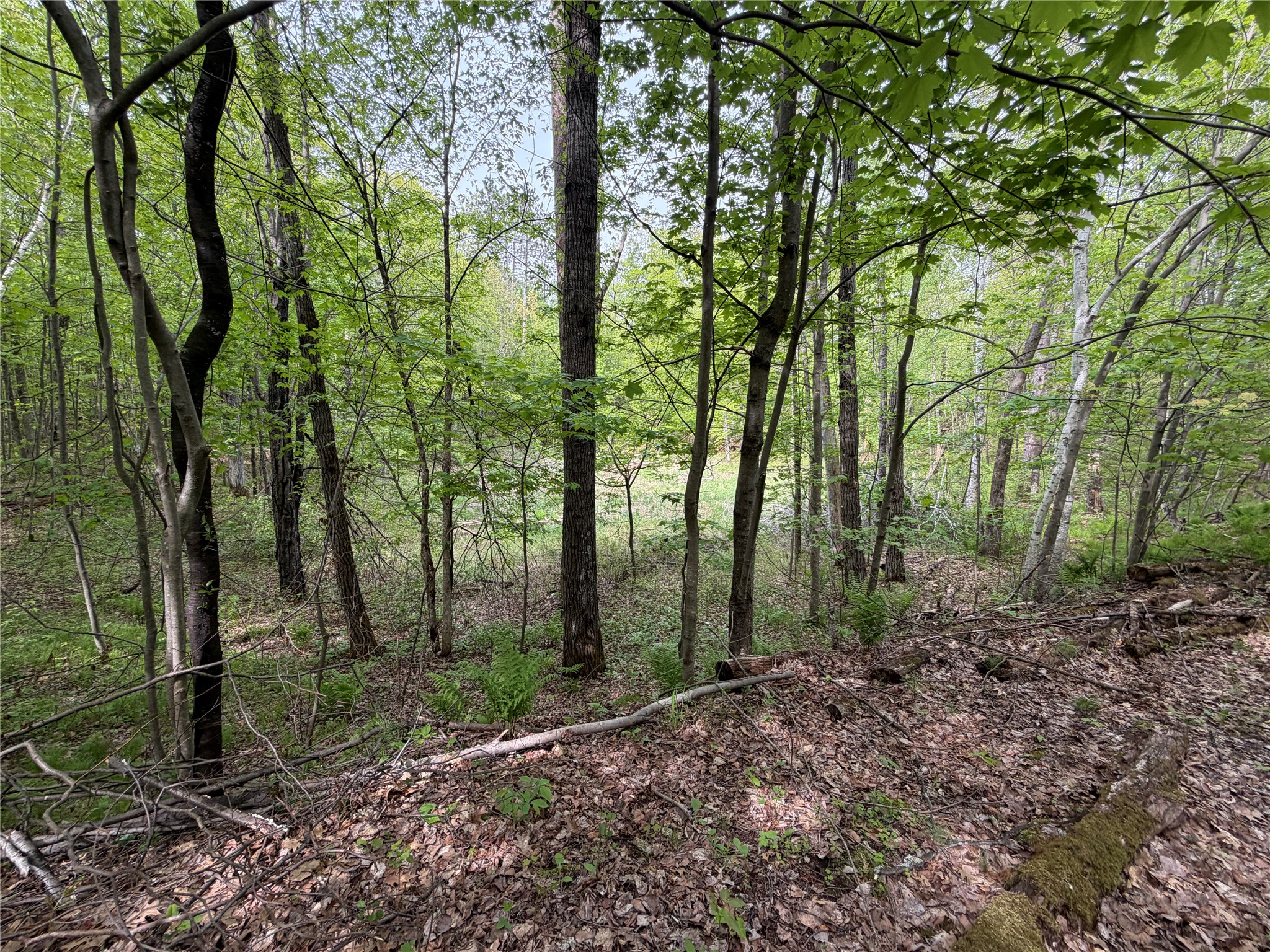 Lot 4 Peterson Road Property Photo 8
