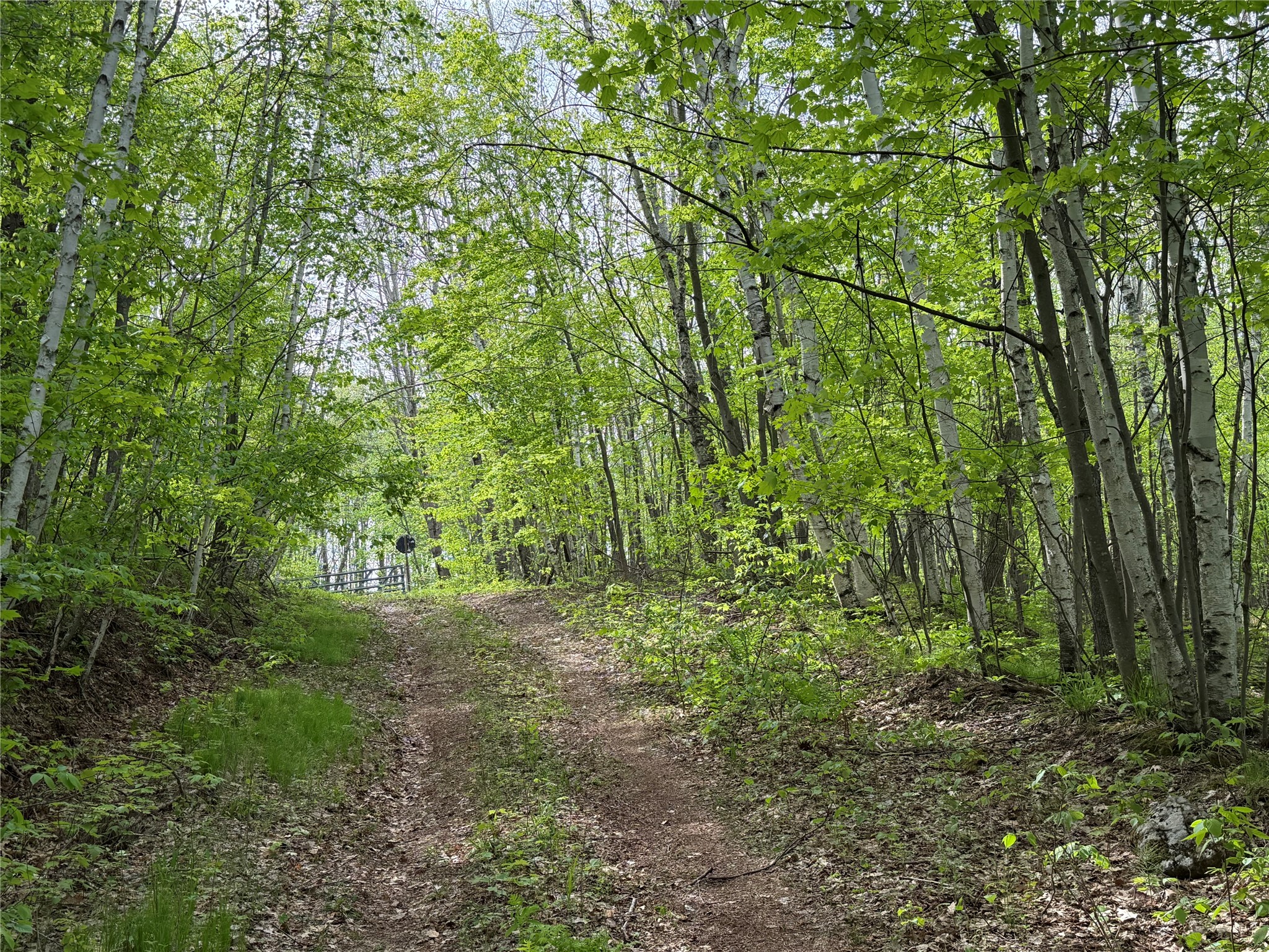 Lot 4 Peterson Road Property Photo 9