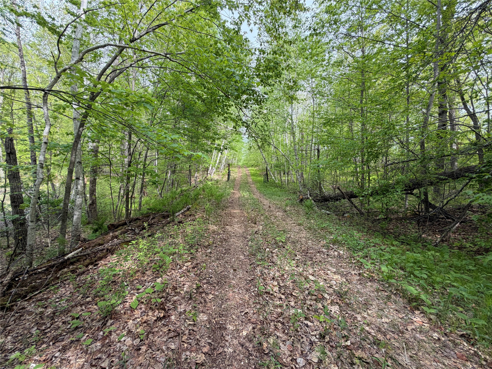 Lot 4 Peterson Road Property Photo 10