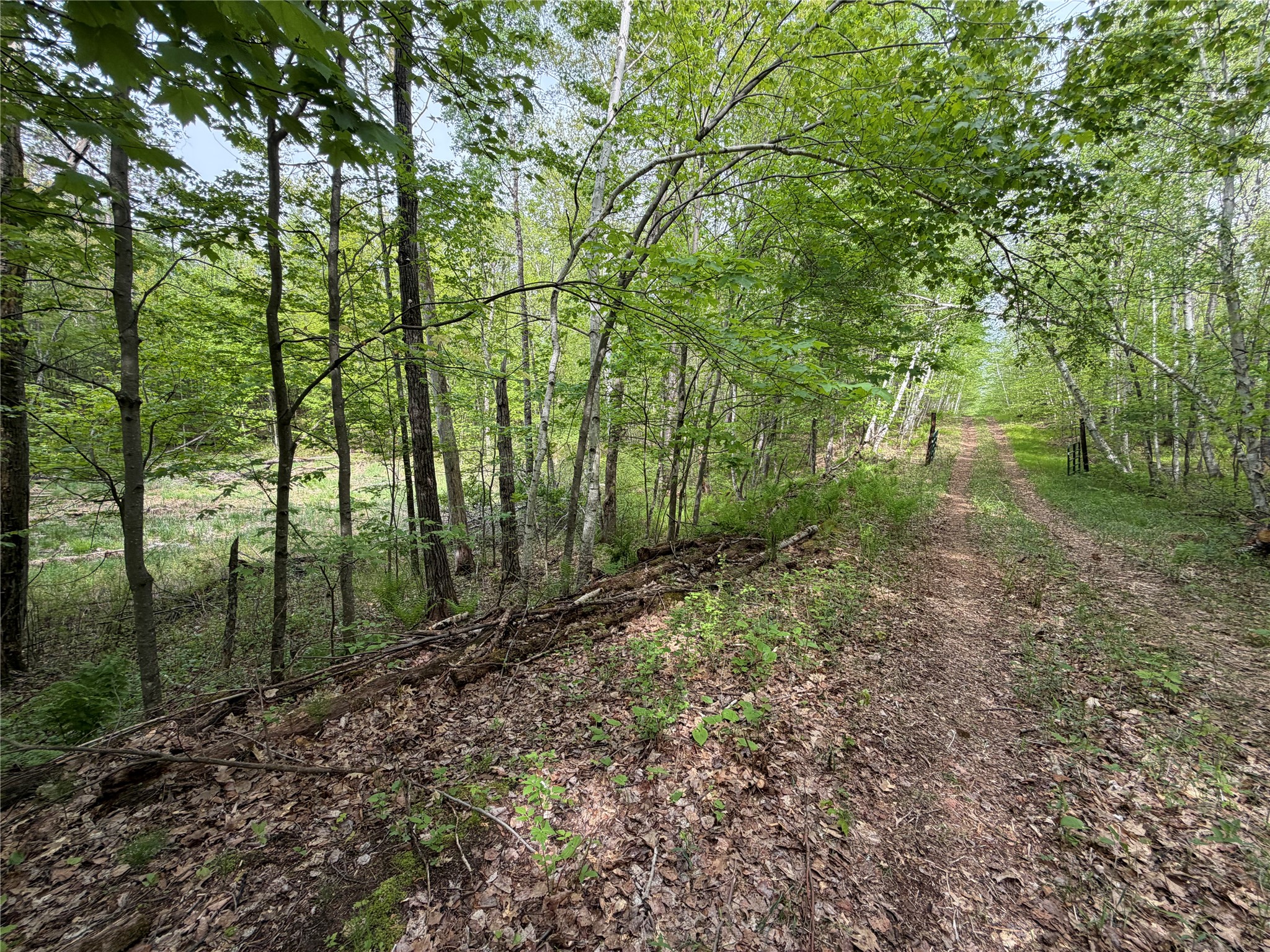 Lot 4 Peterson Road Property Photo 11