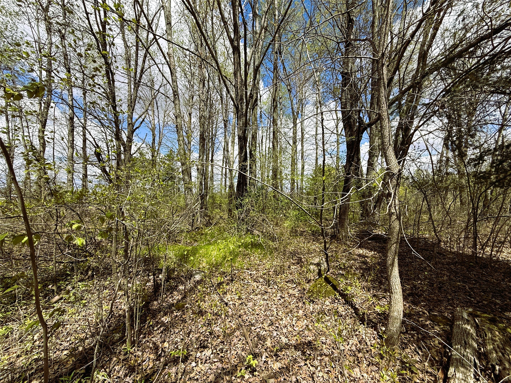 1 Acre Highway 8 Property Photo 9