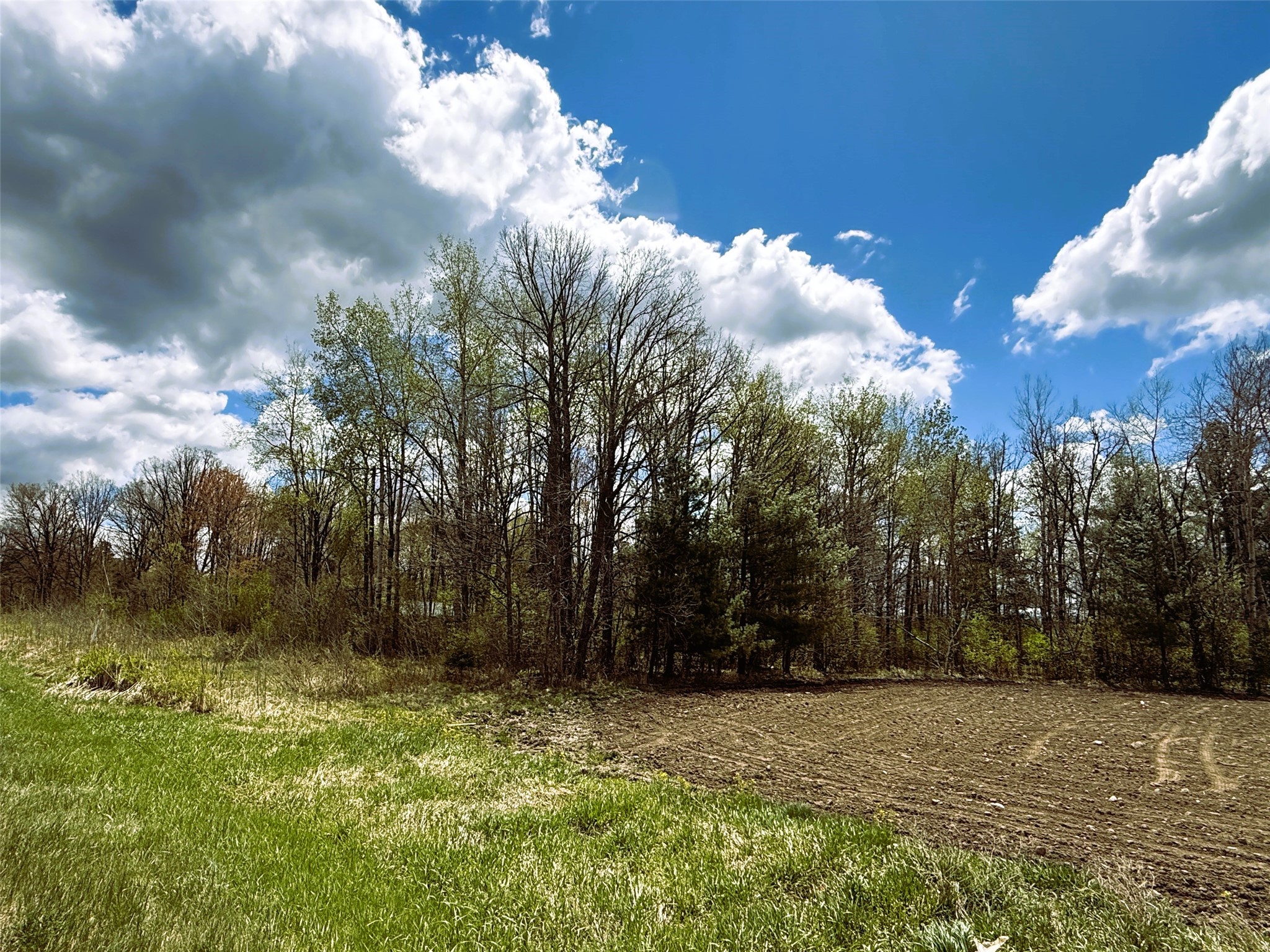 1 Acre Highway 8 Property Photo 10