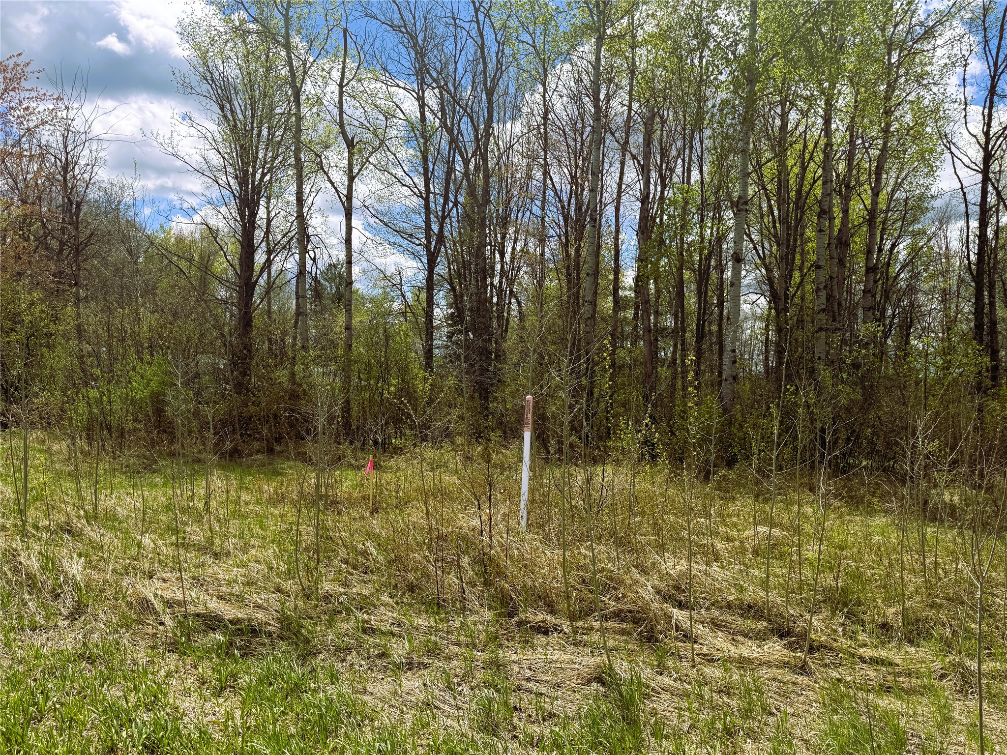 1 Acre Highway 8 Property Photo 11