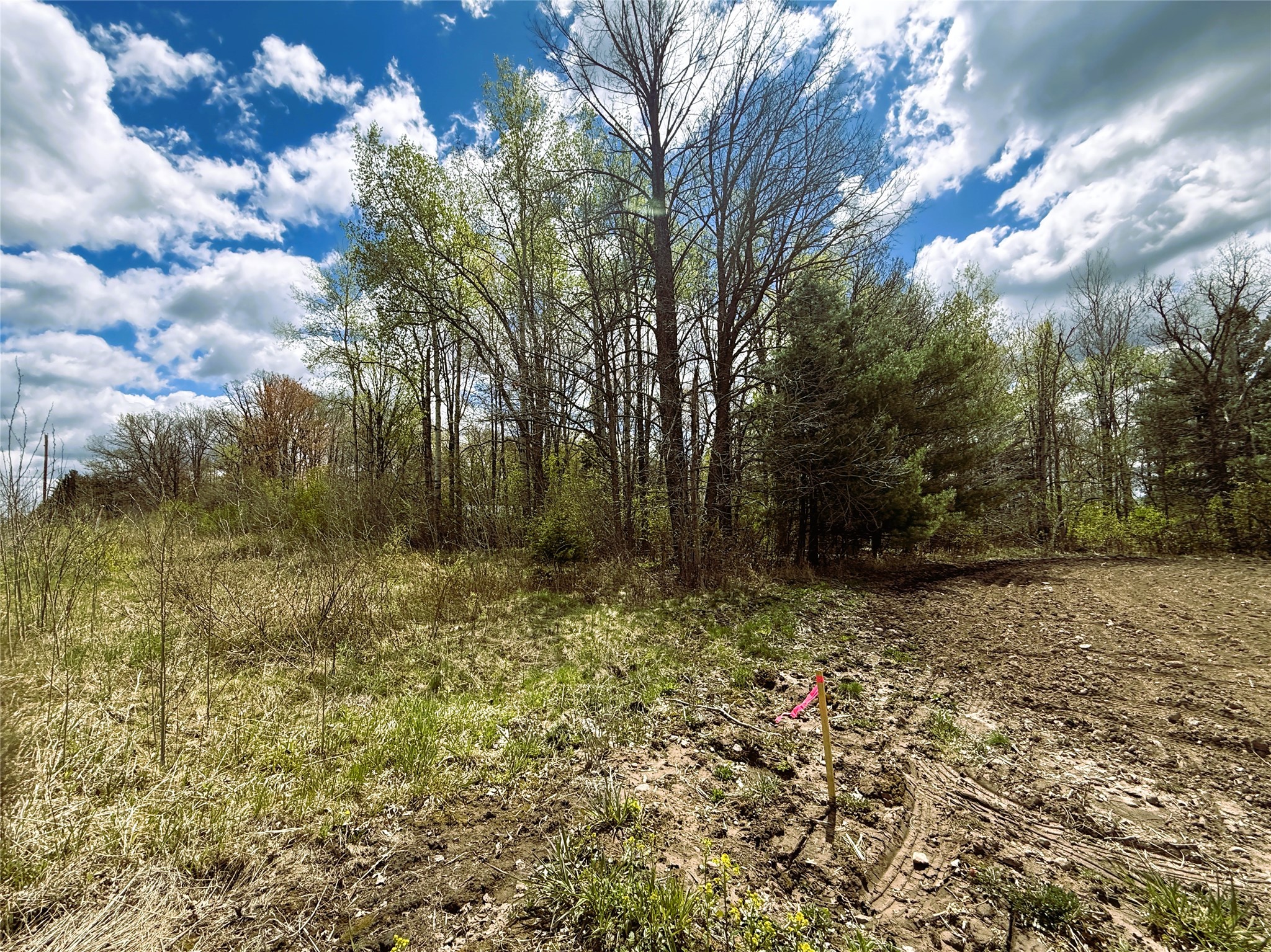1 Acre Highway 8 Property Photo 12