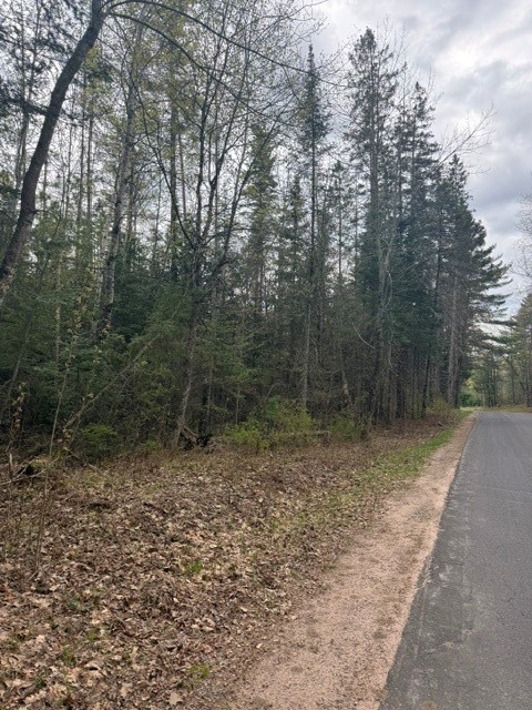 0 Pederson Road Property Photo 3