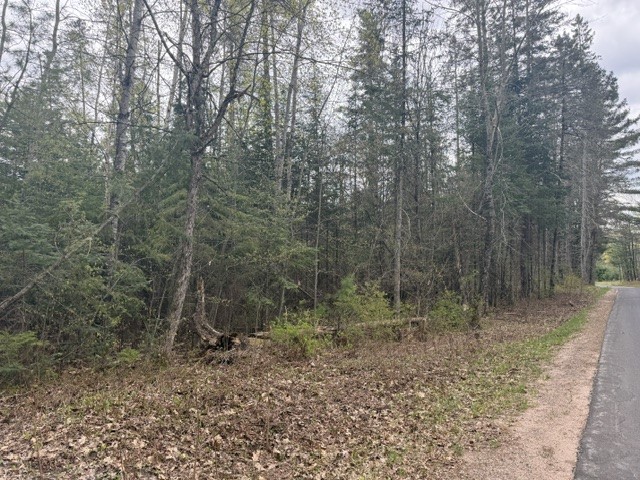 0 Pederson Road Property Photo 4