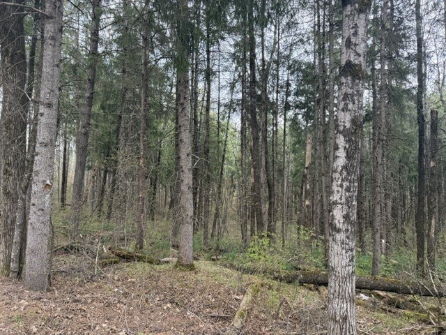 0 Pederson Road Property Photo 8