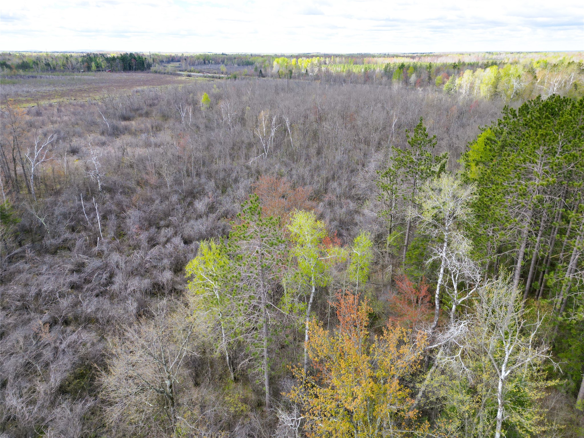 36.5 Acres E Cedarbrook Road Property Photo 8