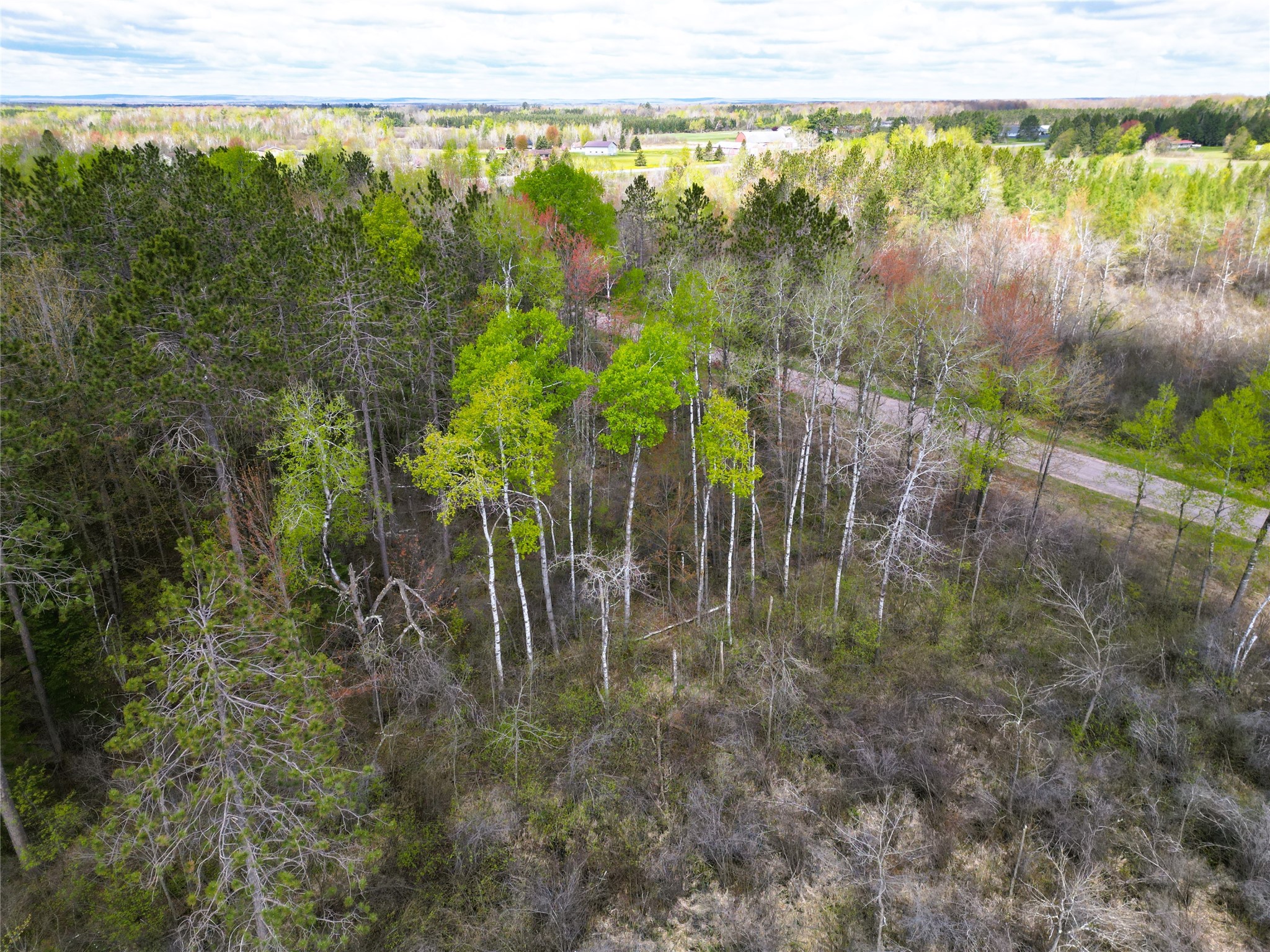 36.5 Acres E Cedarbrook Road Property Photo 9