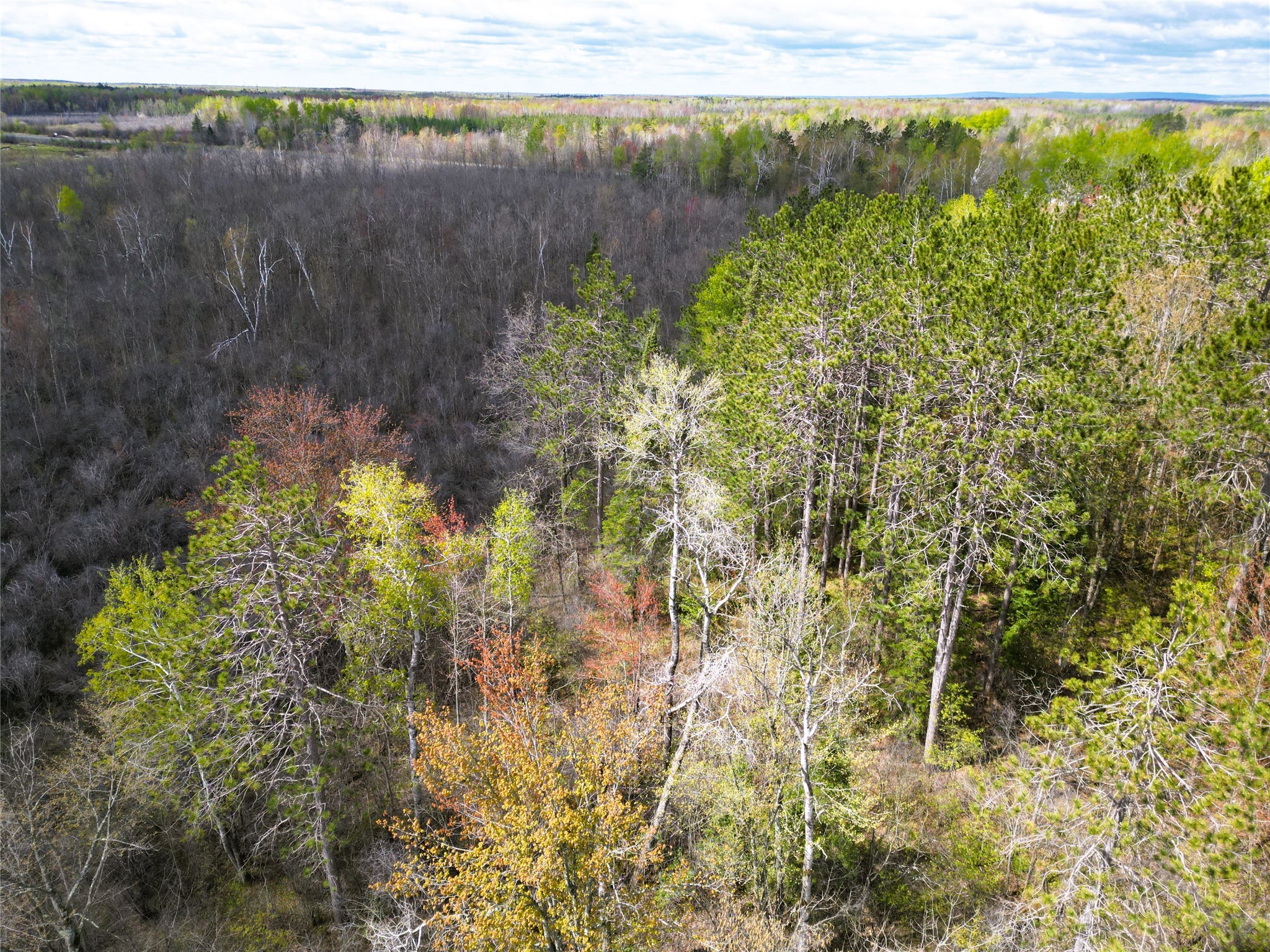 36.5 Acres E Cedarbrook Road Property Photo 10