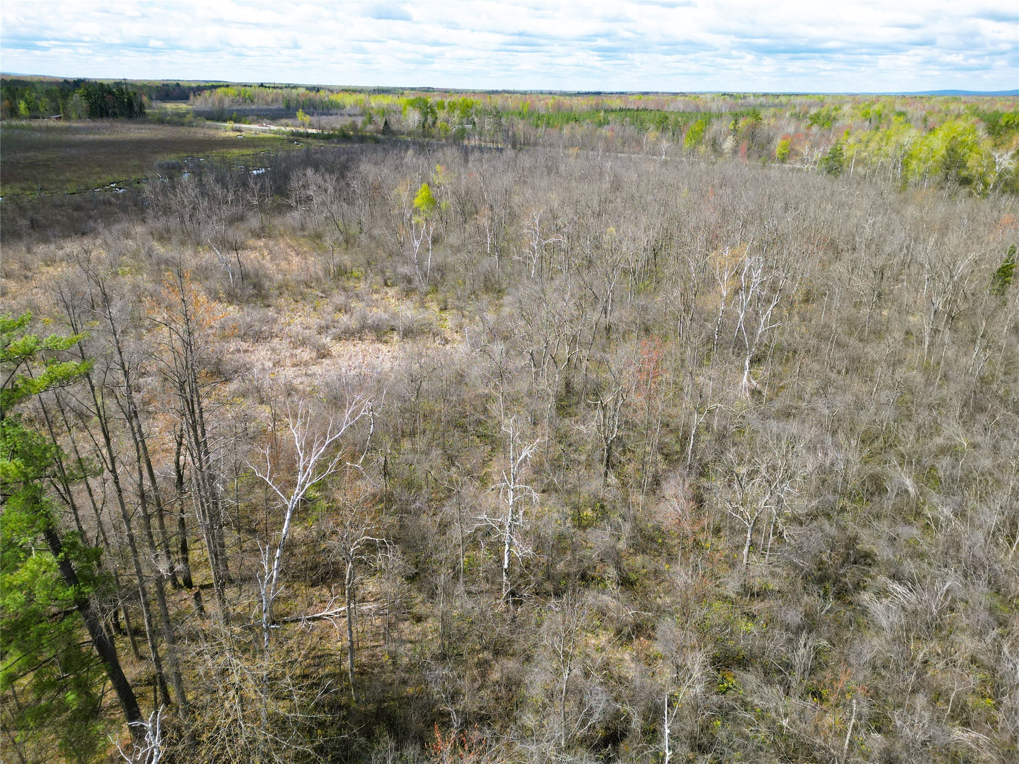 36.5 Acres E Cedarbrook Road Property Photo 11