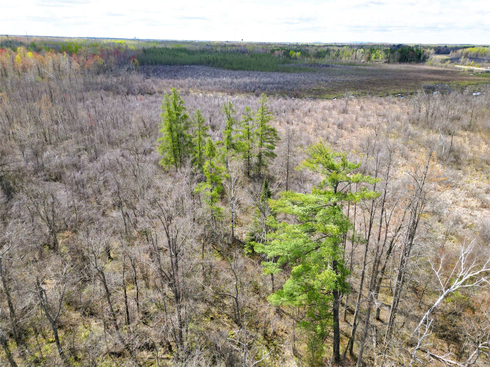 36.5 Acres E Cedarbrook Road Property Photo 12