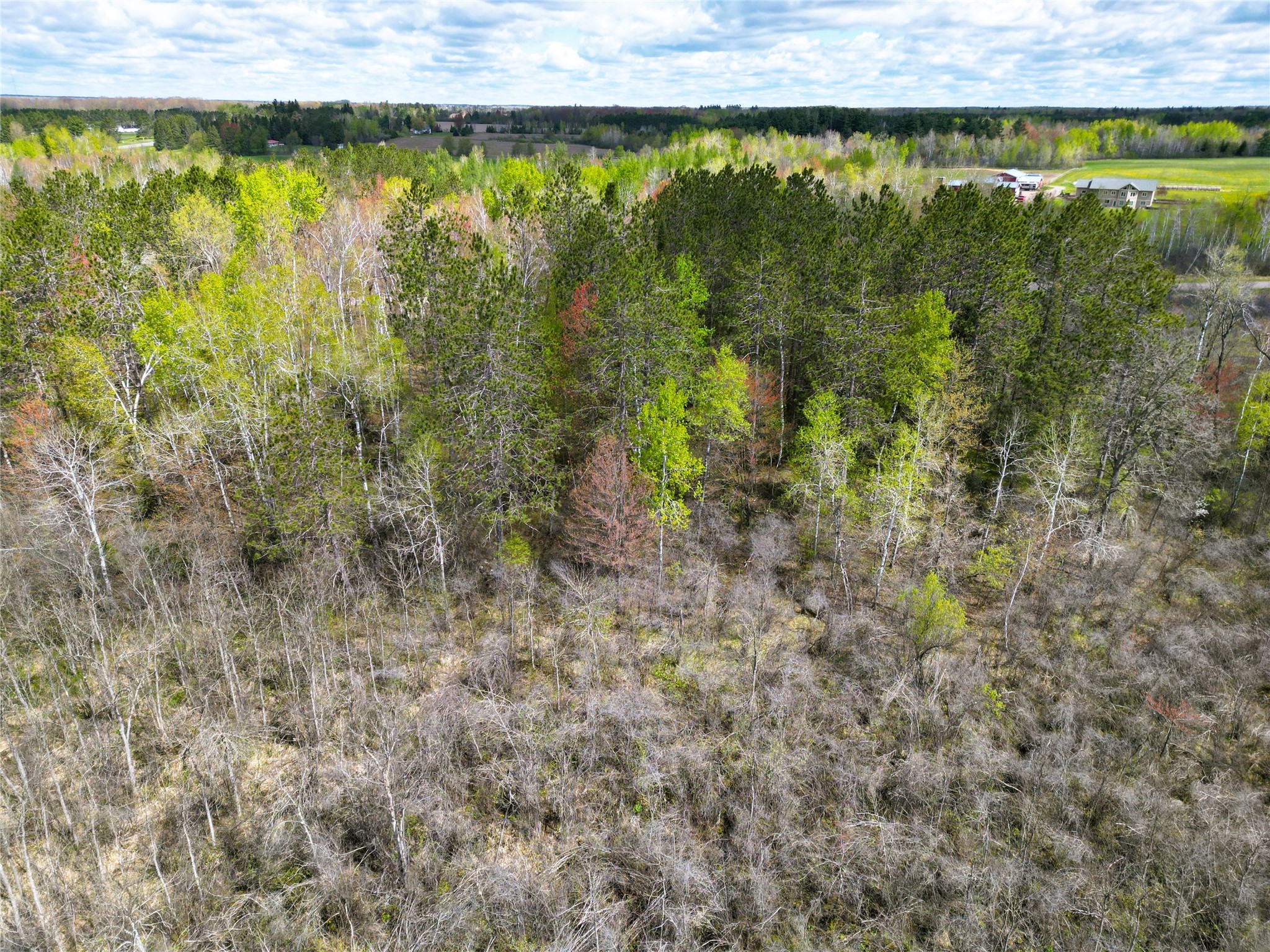 36.5 Acres E Cedarbrook Road Property Photo 13