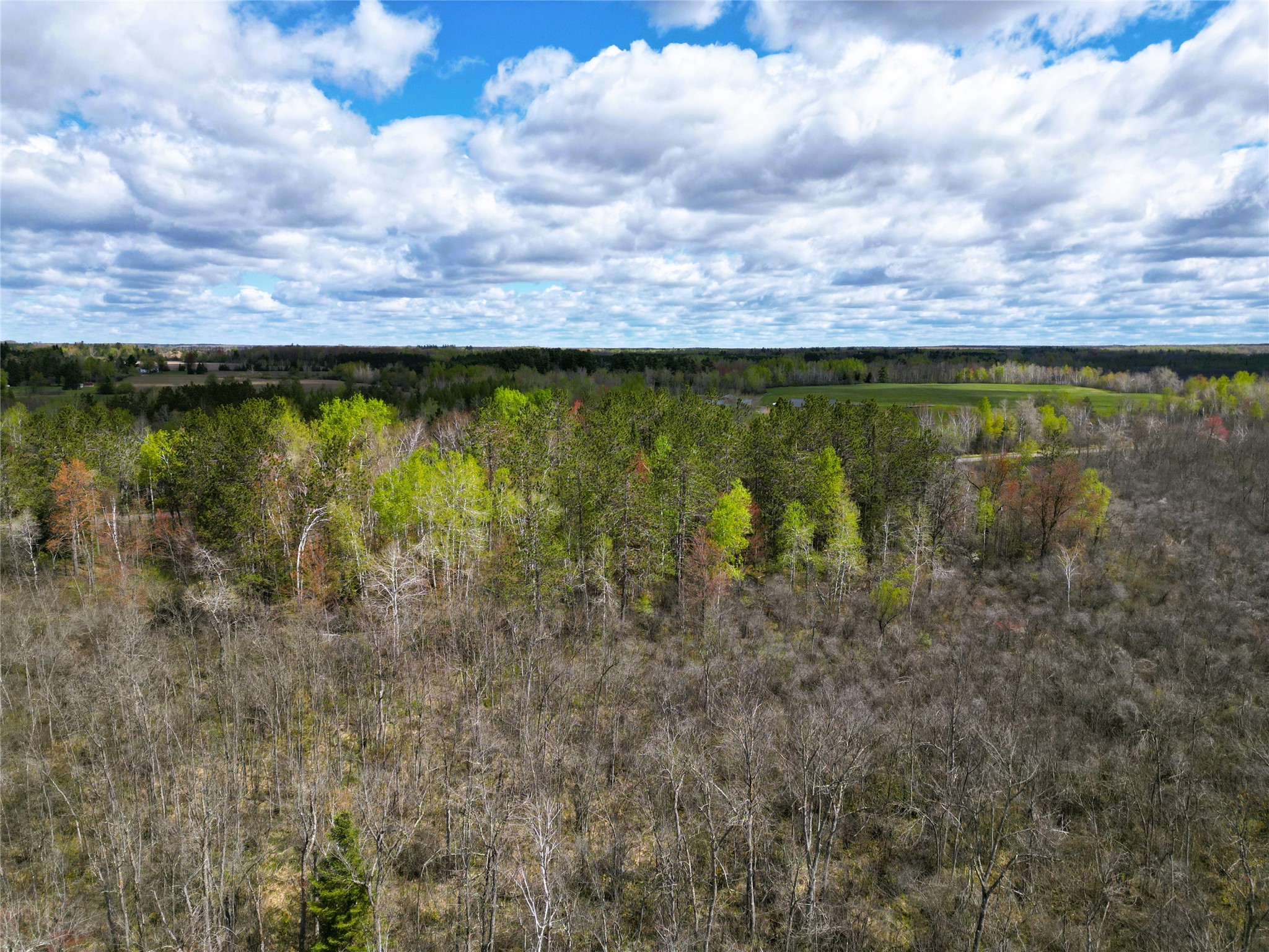 36.5 Acres E Cedarbrook Road Property Photo 14
