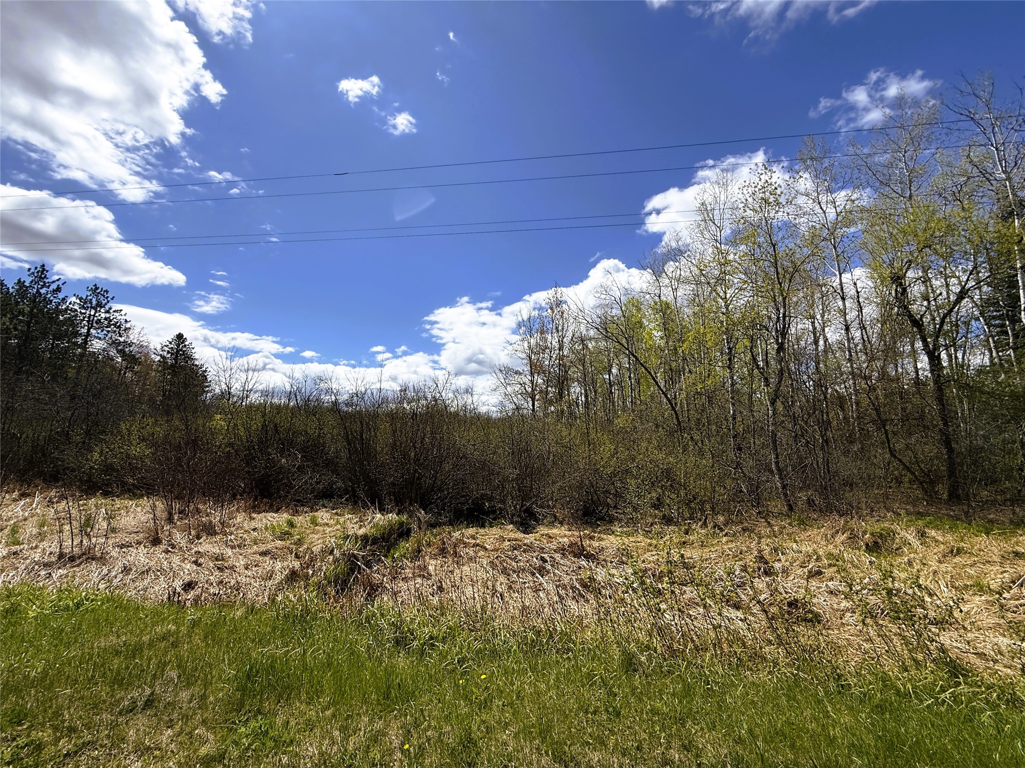 36.5 Acres E Cedarbrook Road Property Photo 15