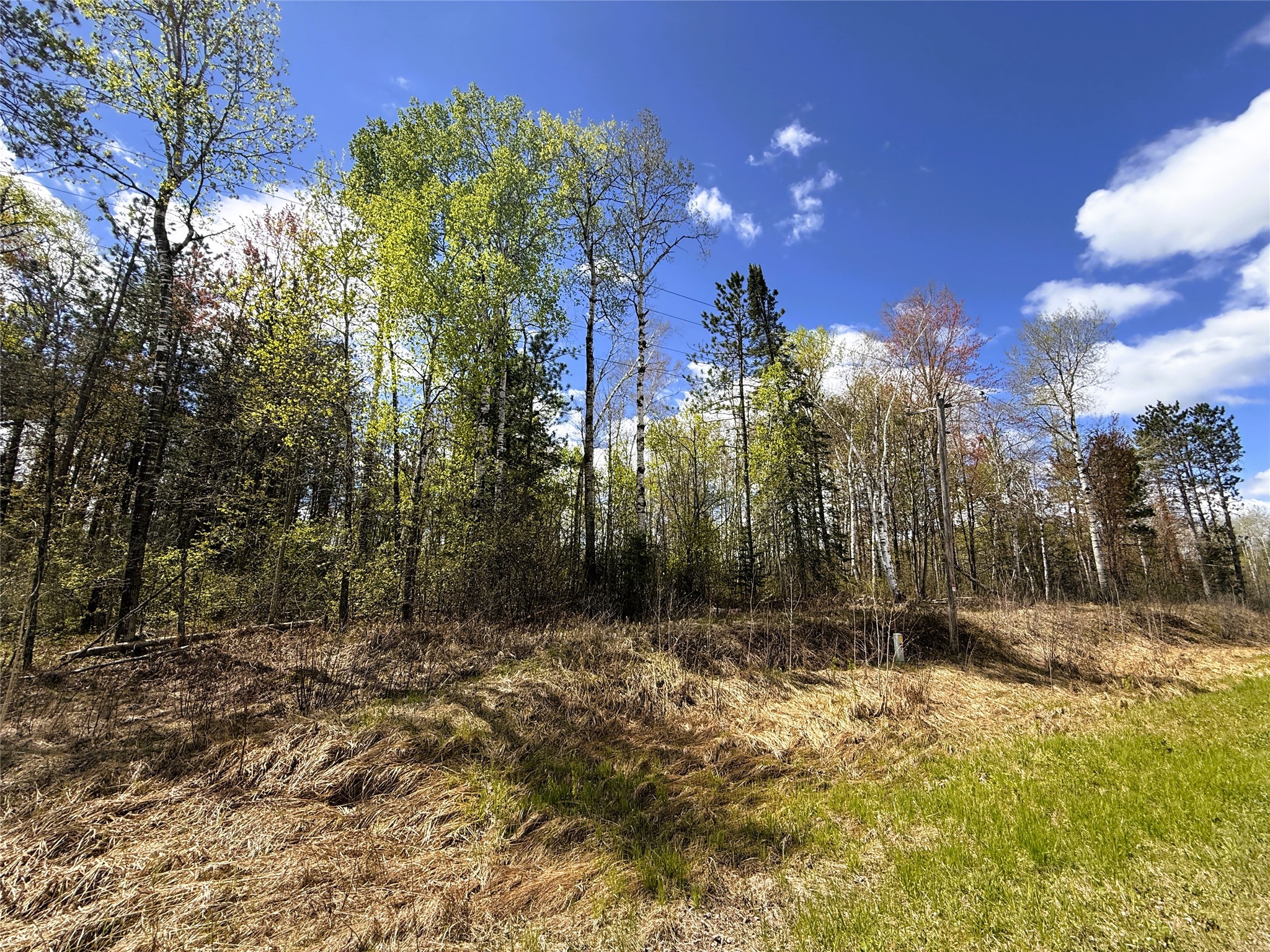 36.5 Acres E Cedarbrook Road Property Photo 18