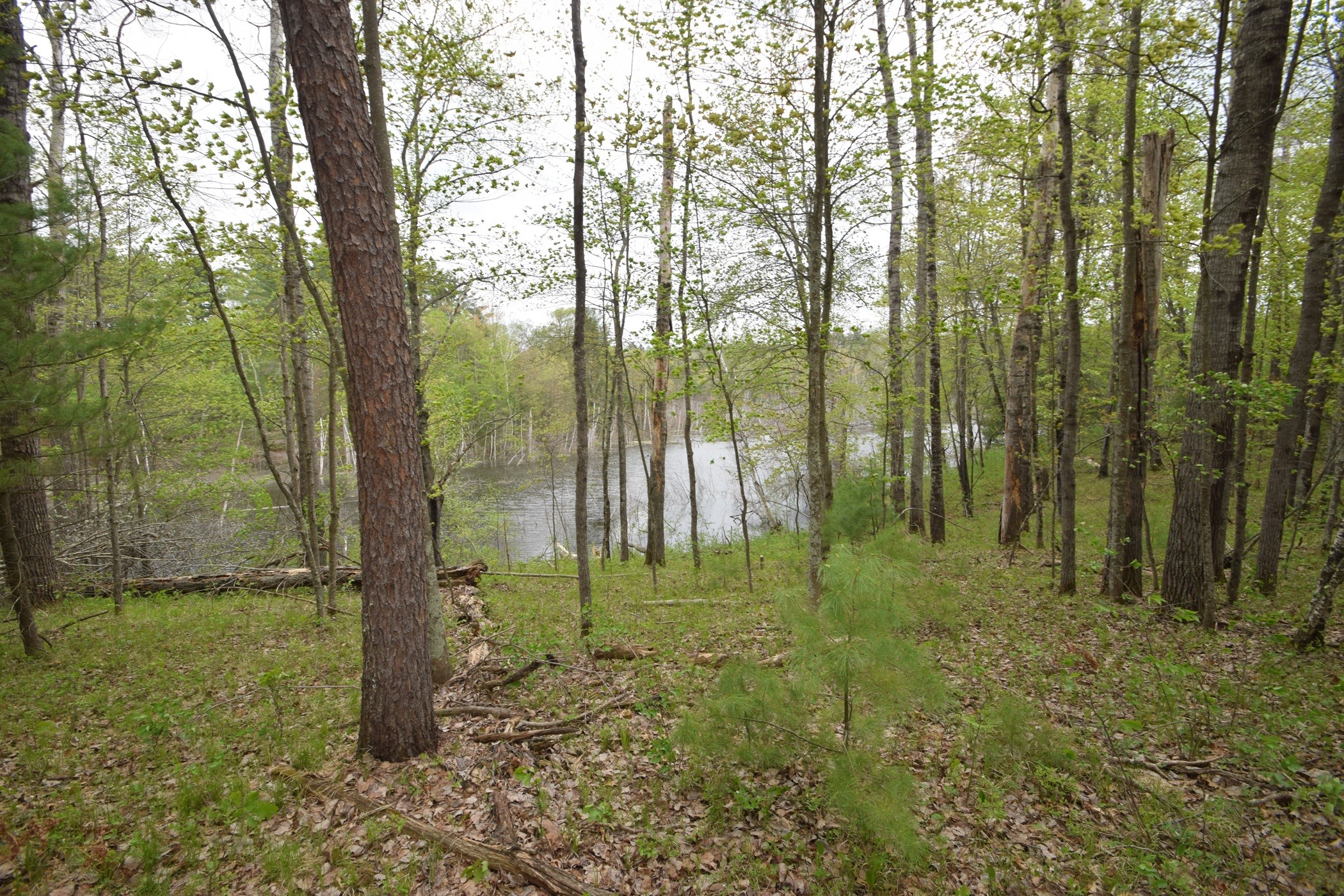 30349 Johnson Creek Trail Property Photo 44