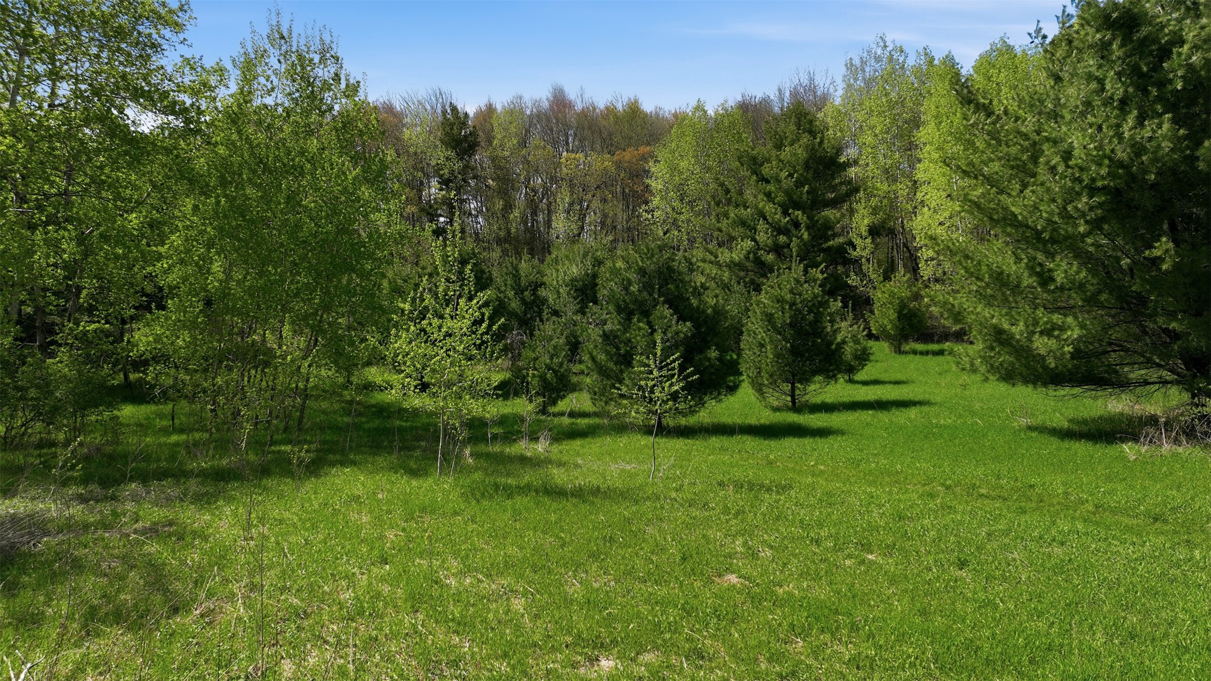 3.42 Acres 10th Avenue Property Photo 4
