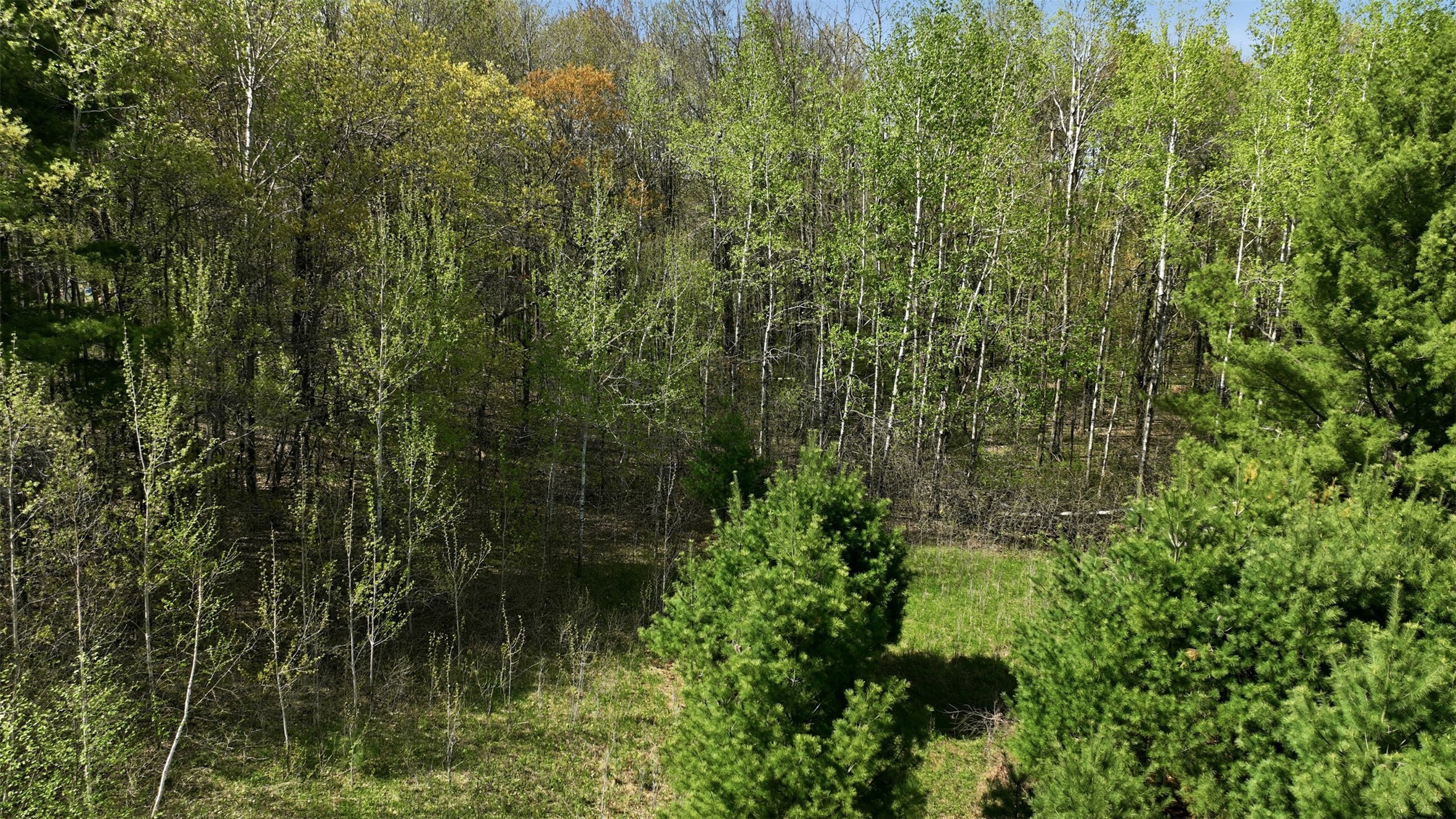 3.42 Acres 10th Avenue Property Photo 7