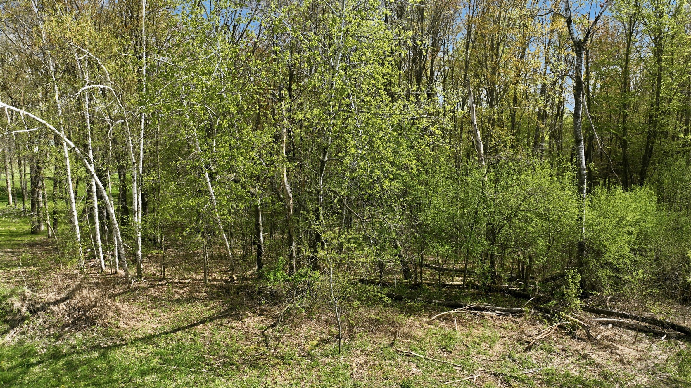 3.42 Acres 10th Avenue Property Photo 15