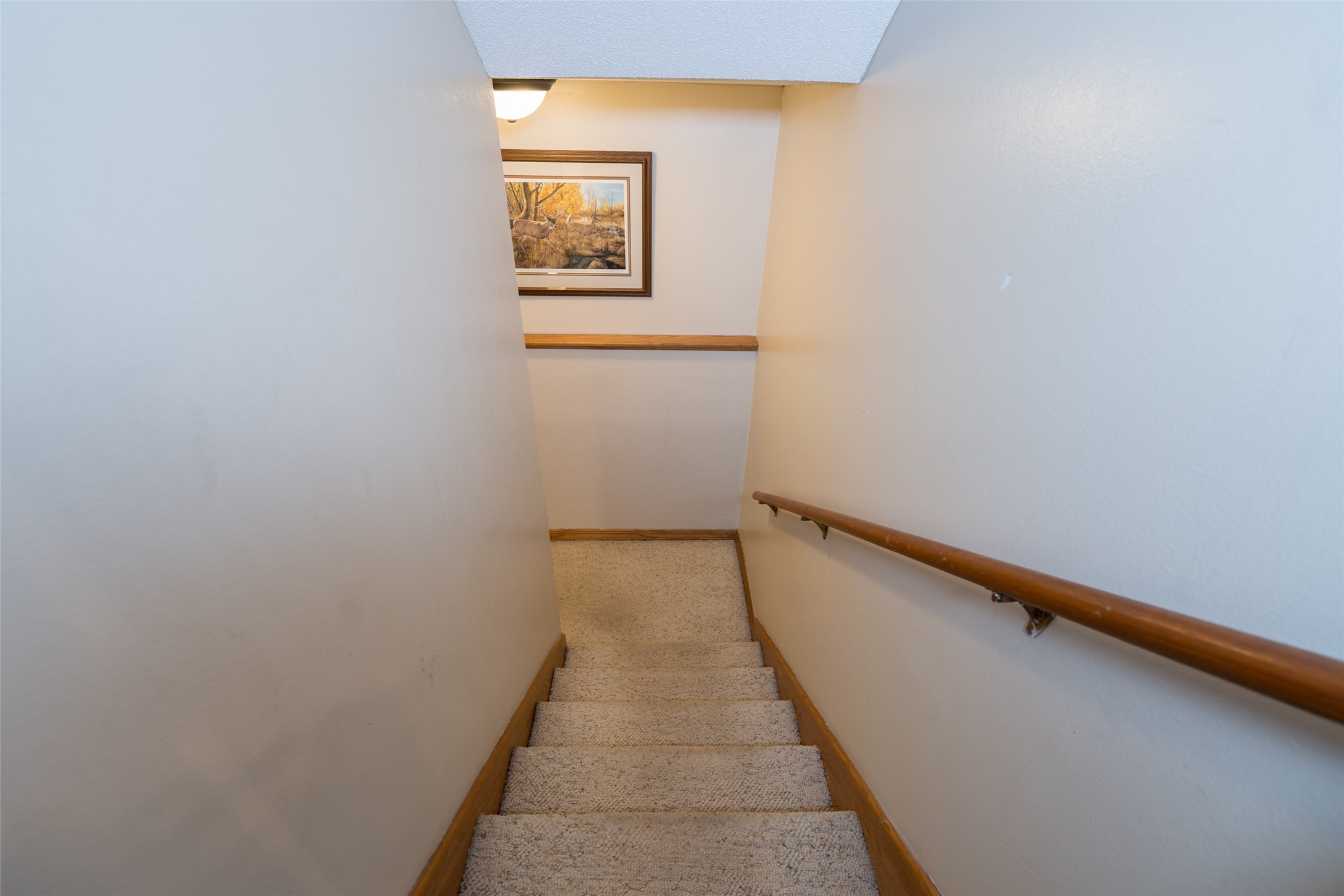 1501 Grover Road Property Photo 40