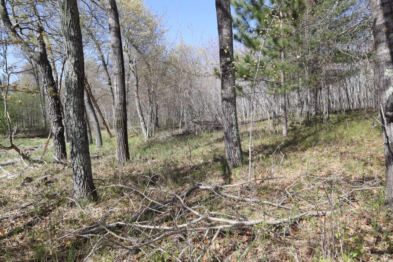 Xxx Oaks Court Property Photo 7