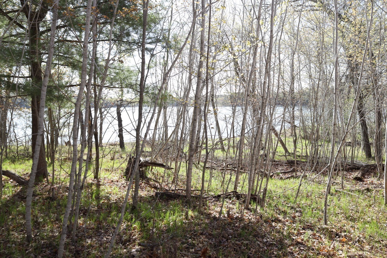 Xxx Oaks Court Property Photo 8
