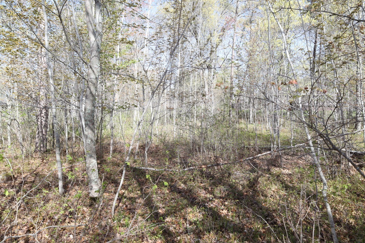 Xxx Oaks Court Property Photo 9