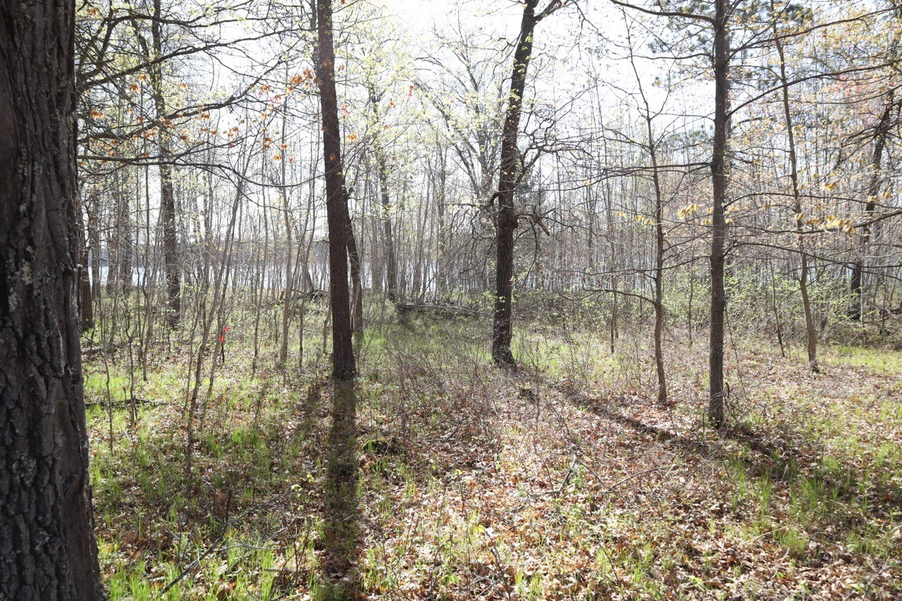Xxx Oaks Court Property Photo 10