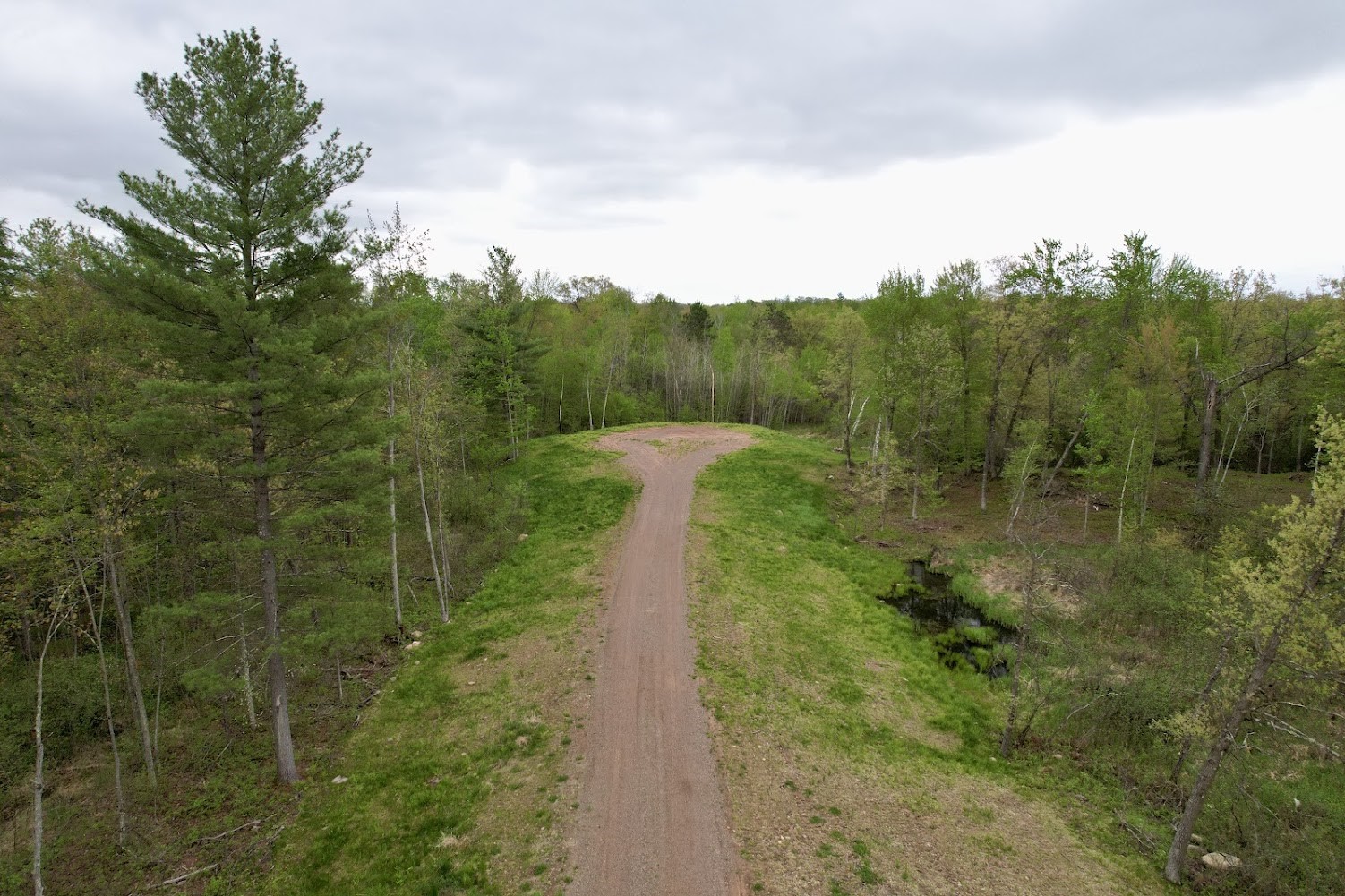 15573 Highway 64 Property Photo 3