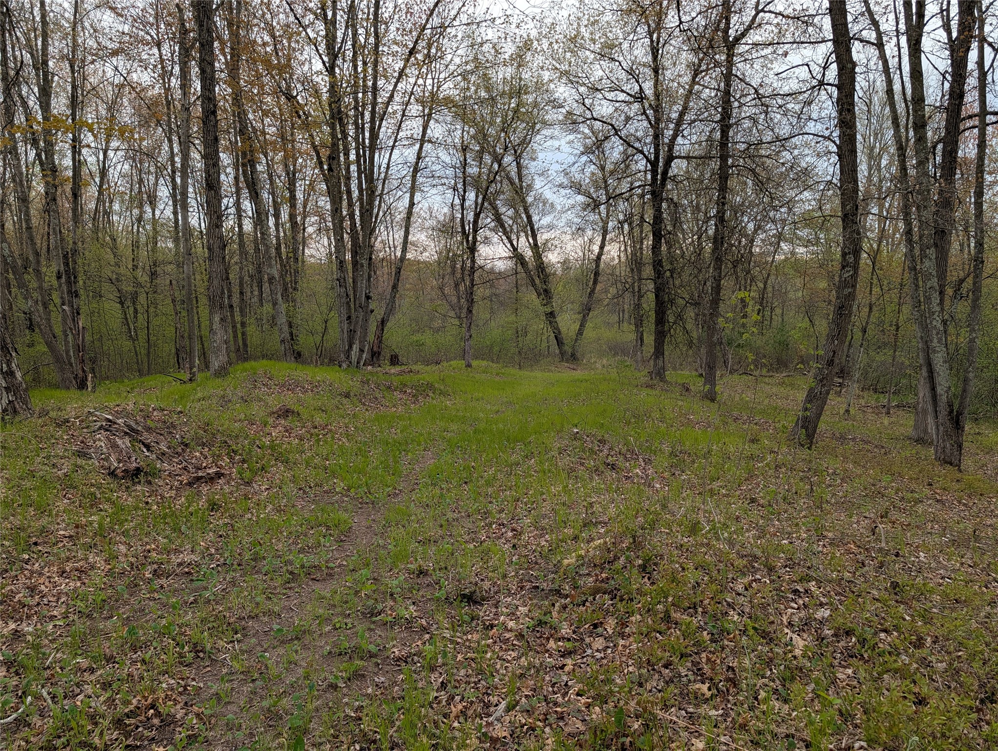 15573 Highway 64 Property Photo 4