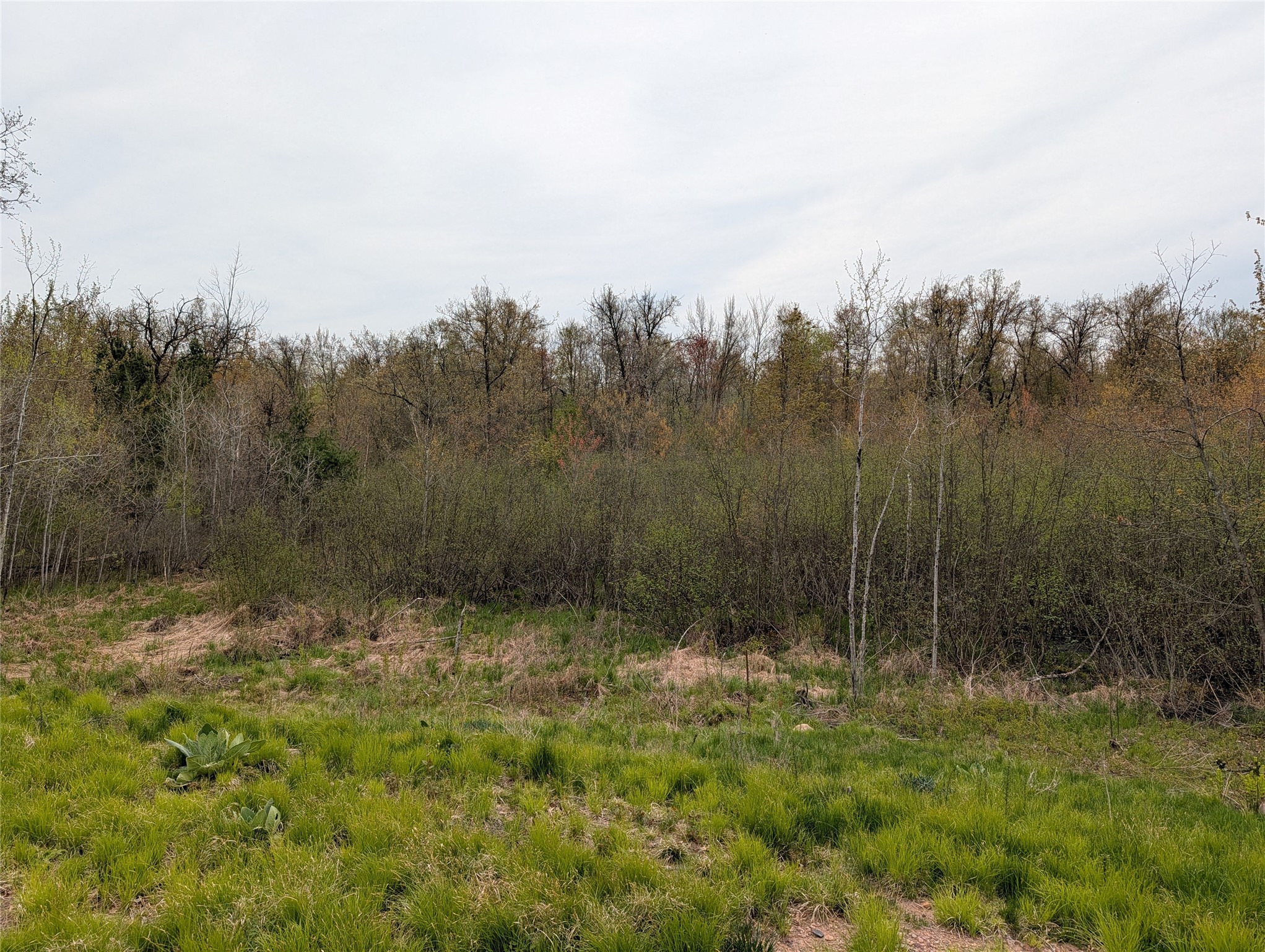 15573 Highway 64 Property Photo 5
