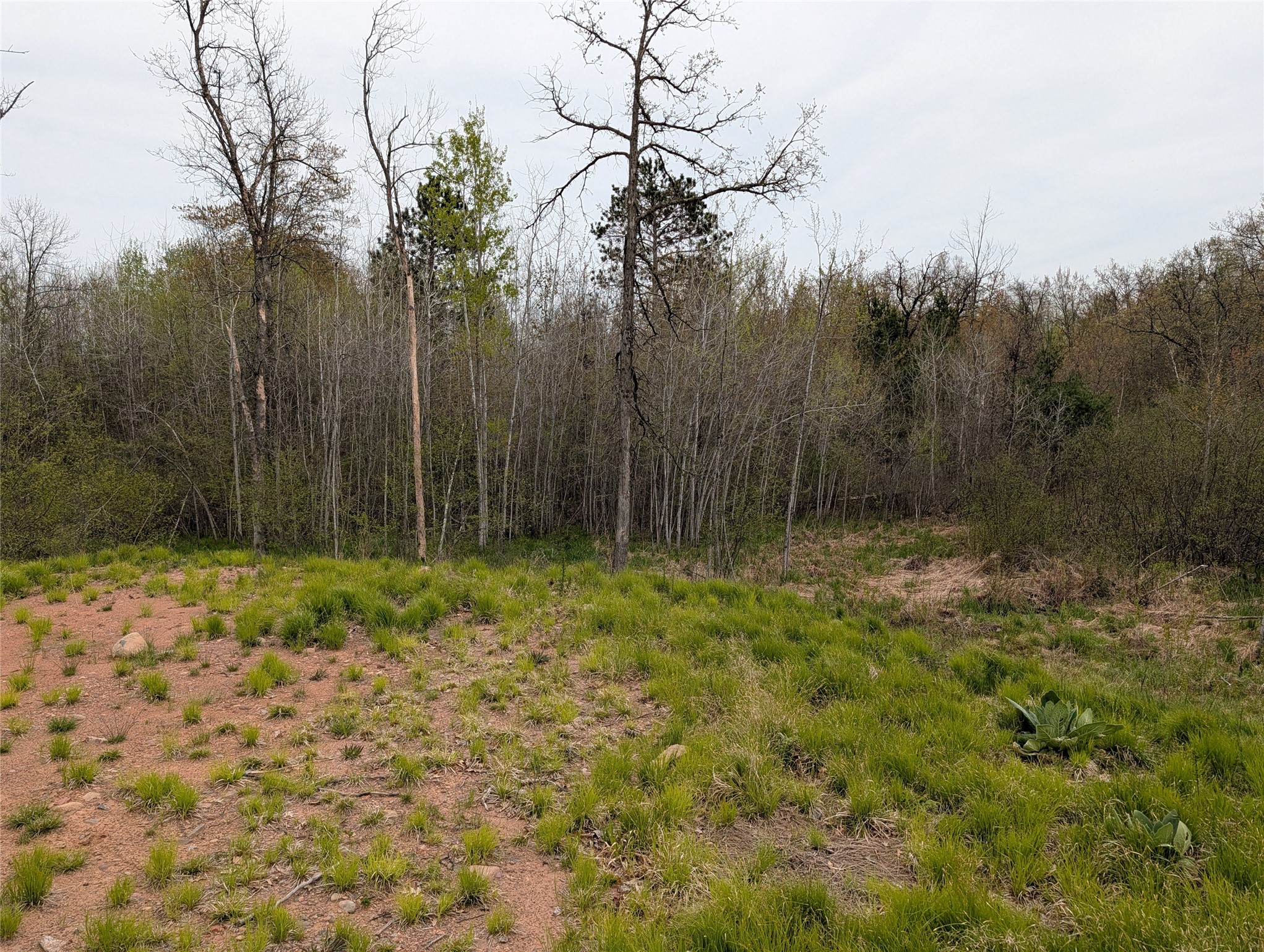 15573 Highway 64 Property Photo 6
