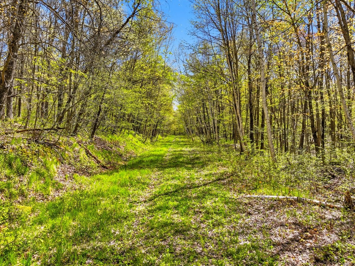 W6474 River Road Property Photo 1